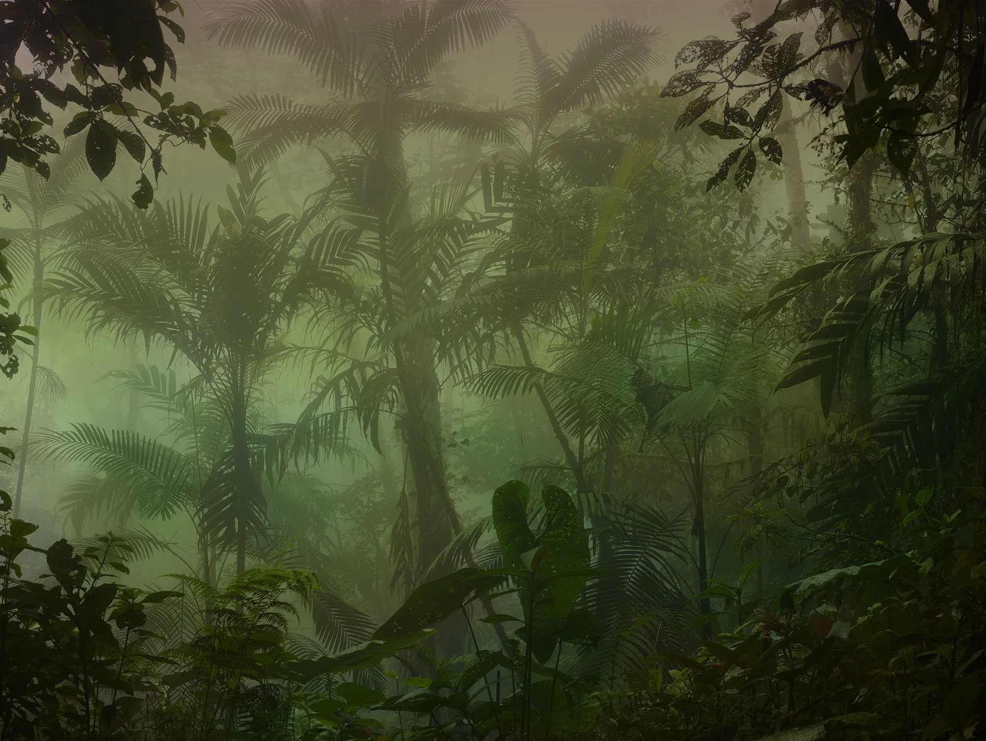 palms copy.jpg