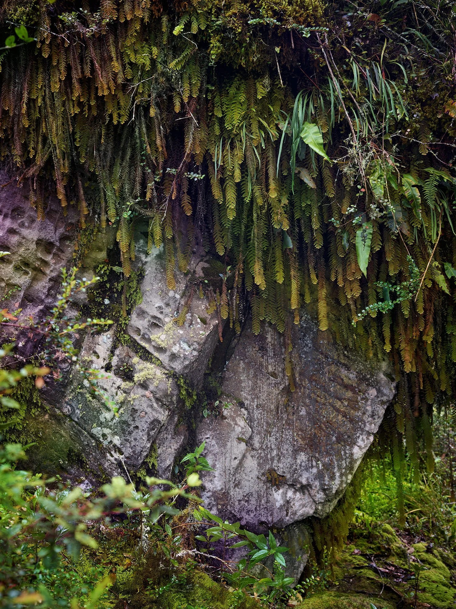 rock 1 copy 2.JPG