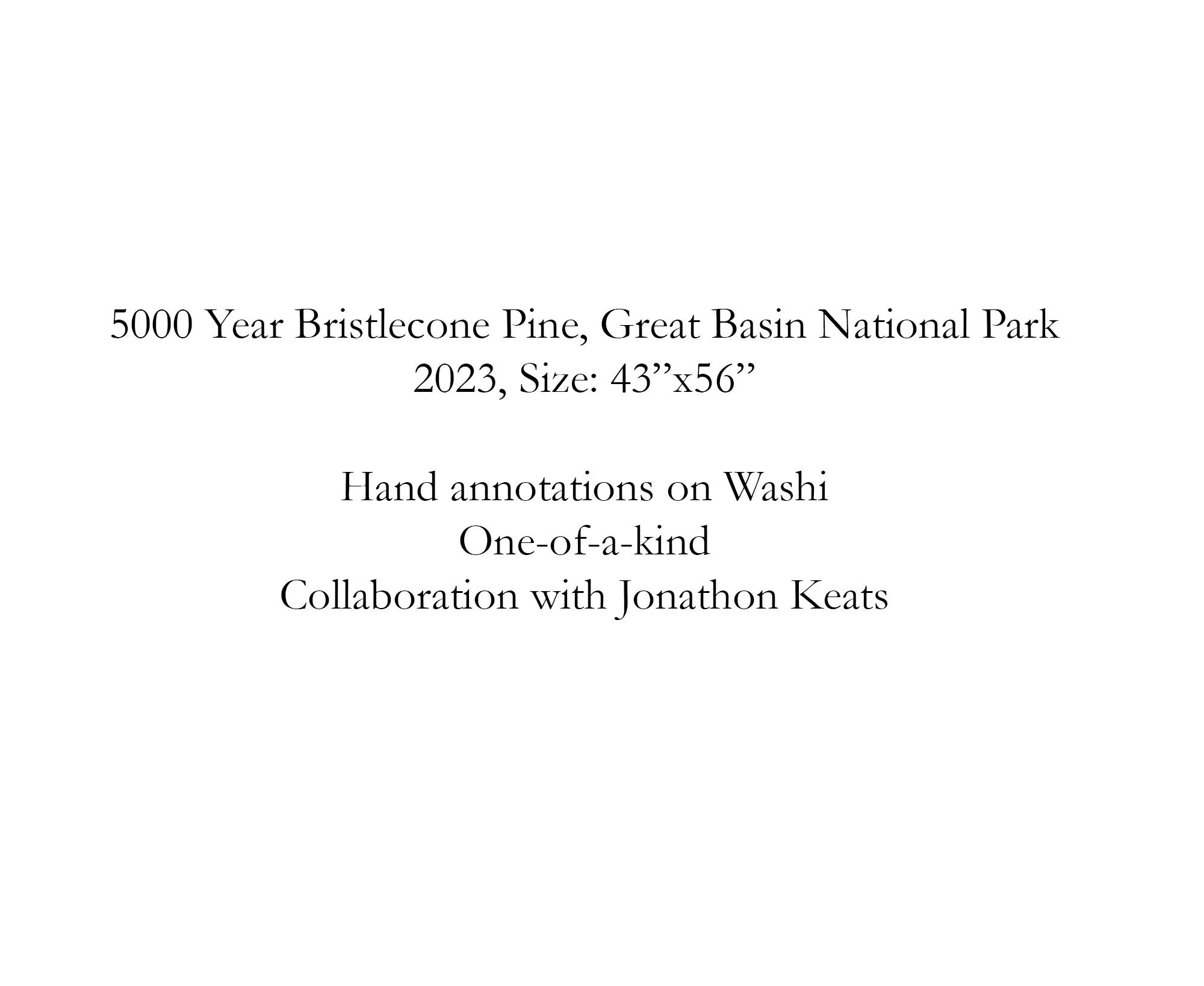 Bristlecone copy.jpg