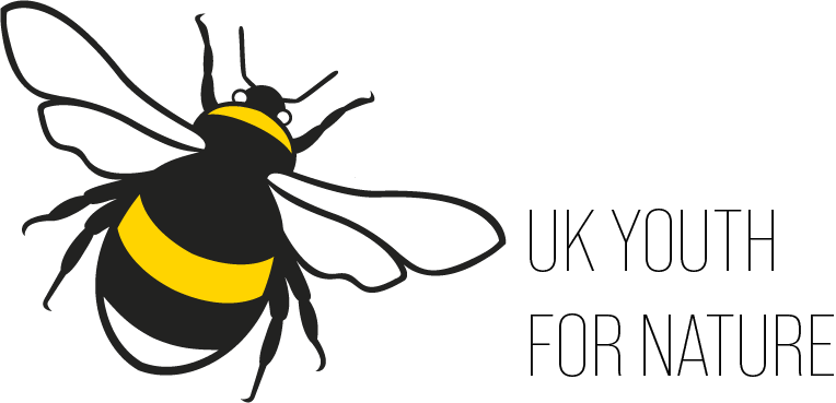 UKY4N BEE Full Colour+text (1).png