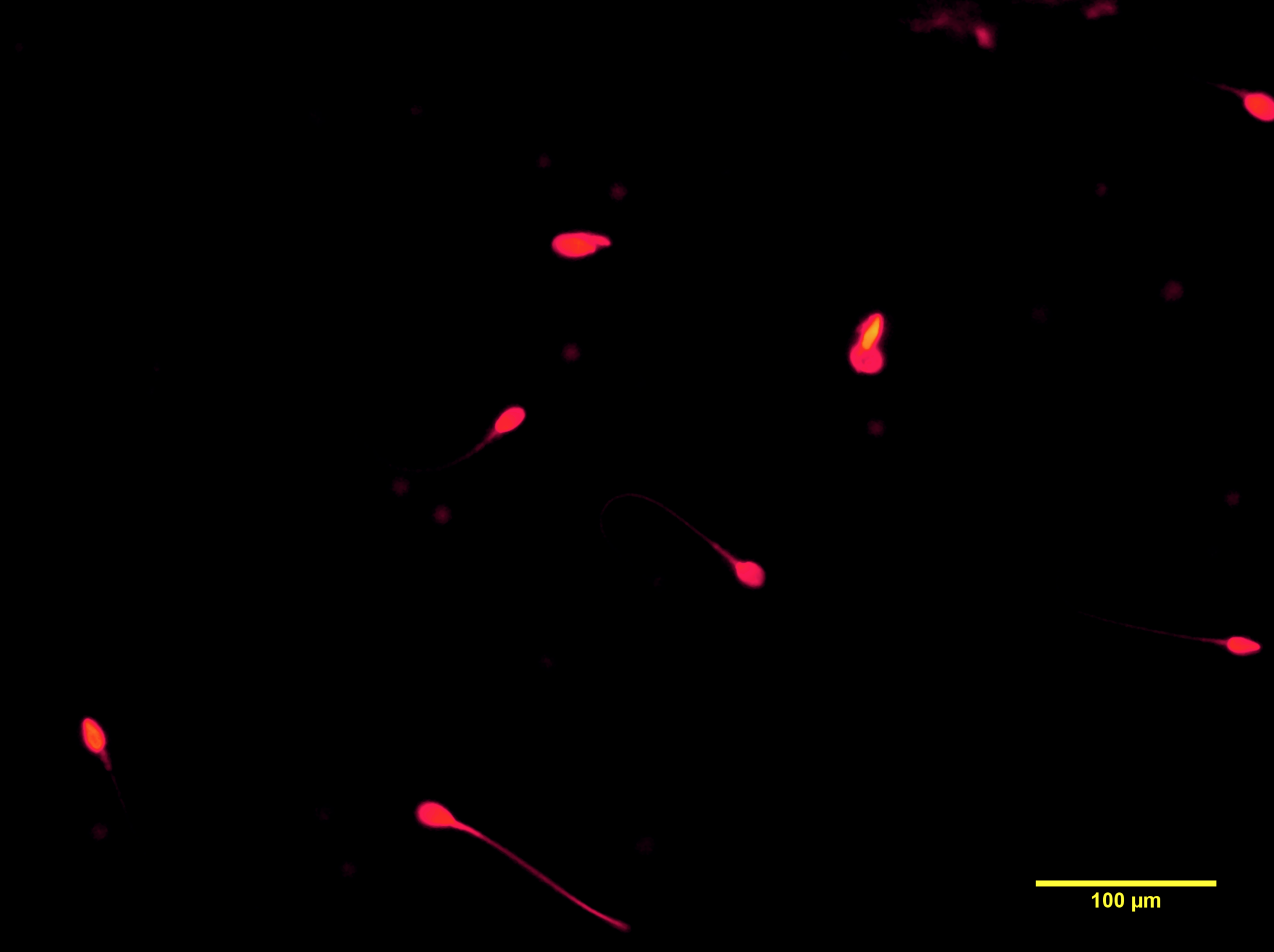 Screen Shot 2019-09-13 at 15.58.50.png