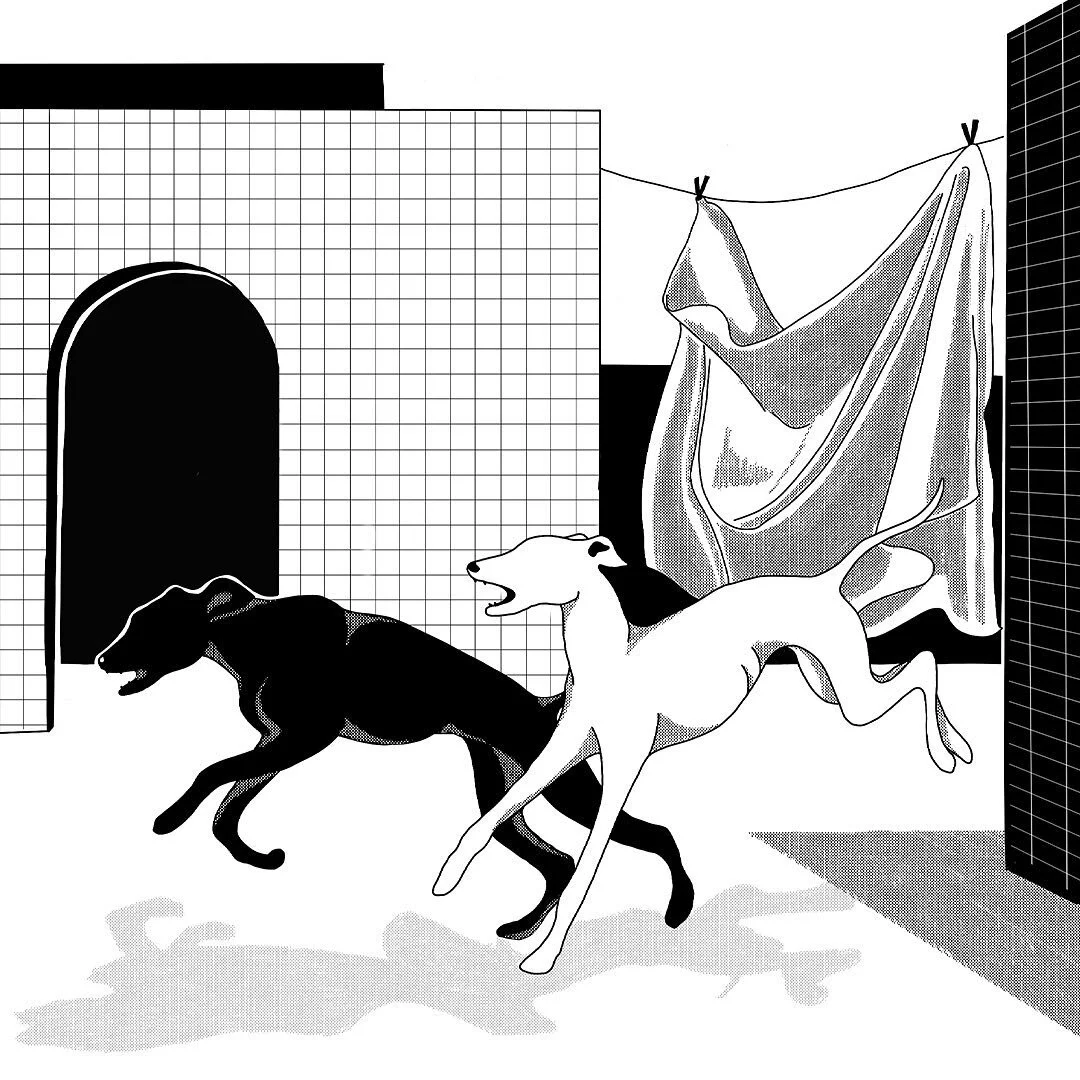 I seek images that don&rsquo;t exist.
.
.
 #illustrationnow #illustrationartists #illustrated #digitalart #art #drawing #emergingartist #artcollective #illustration #procreate #blackandwhite #contemporaryart #design #contemporaryillustration #theillu