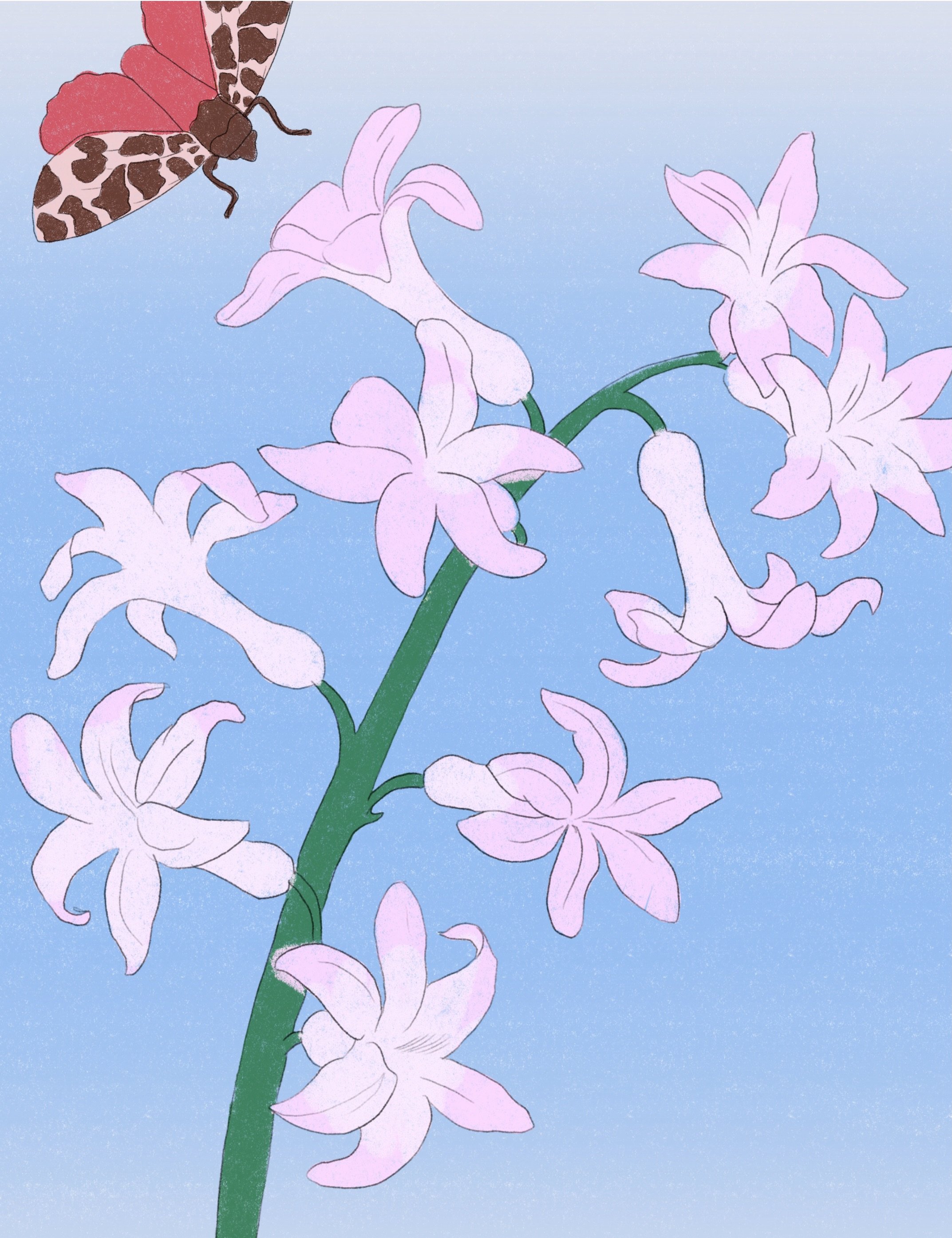 Flower appreciation post 🌻🌷💐🪻✨ #illustration #botanical #artwork #flowers #artistsofinstagram