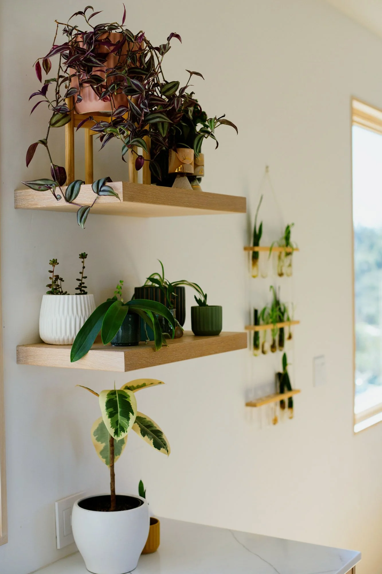 Indoor wall with three wooden shelves holding potted plants and hanging plant display near a window.