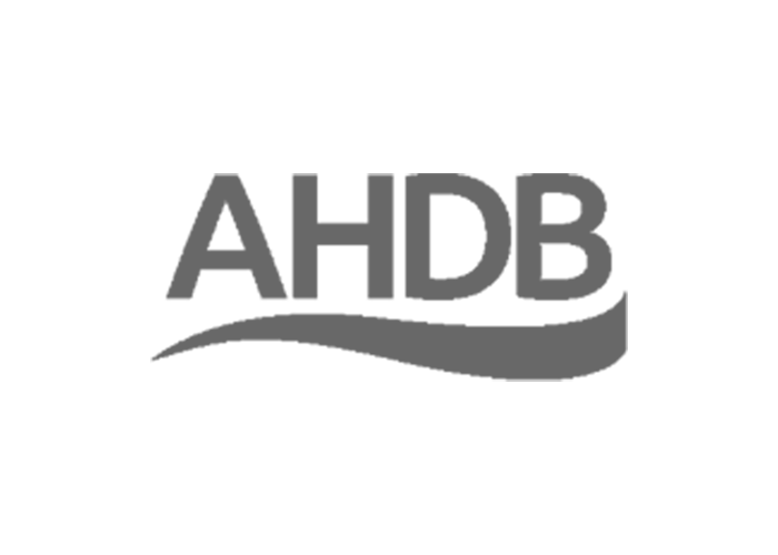 Brands_0000s_0009_ADHB.png