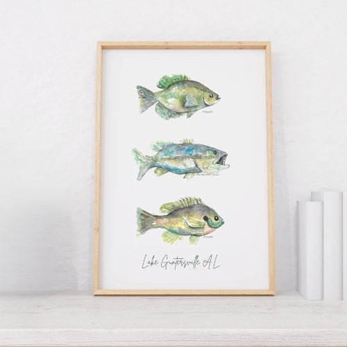 https://i.etsystatic.com/19494841/r/il/030335/5744659887/il_fullxfull.5744659887_nm3t.jpg