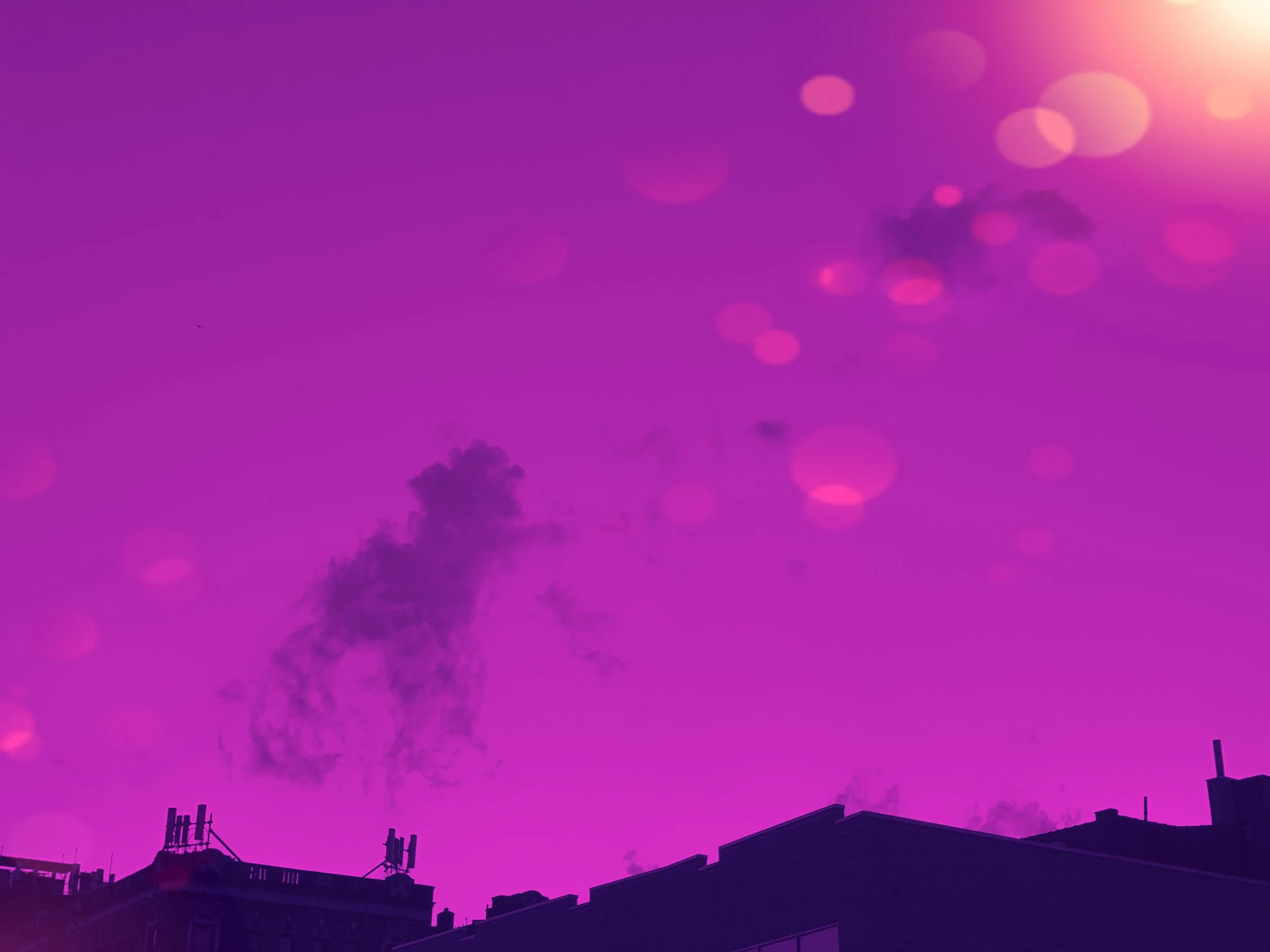 933A1F89-D66B-4849-B7E5-D8B32AD0D154.jpeg