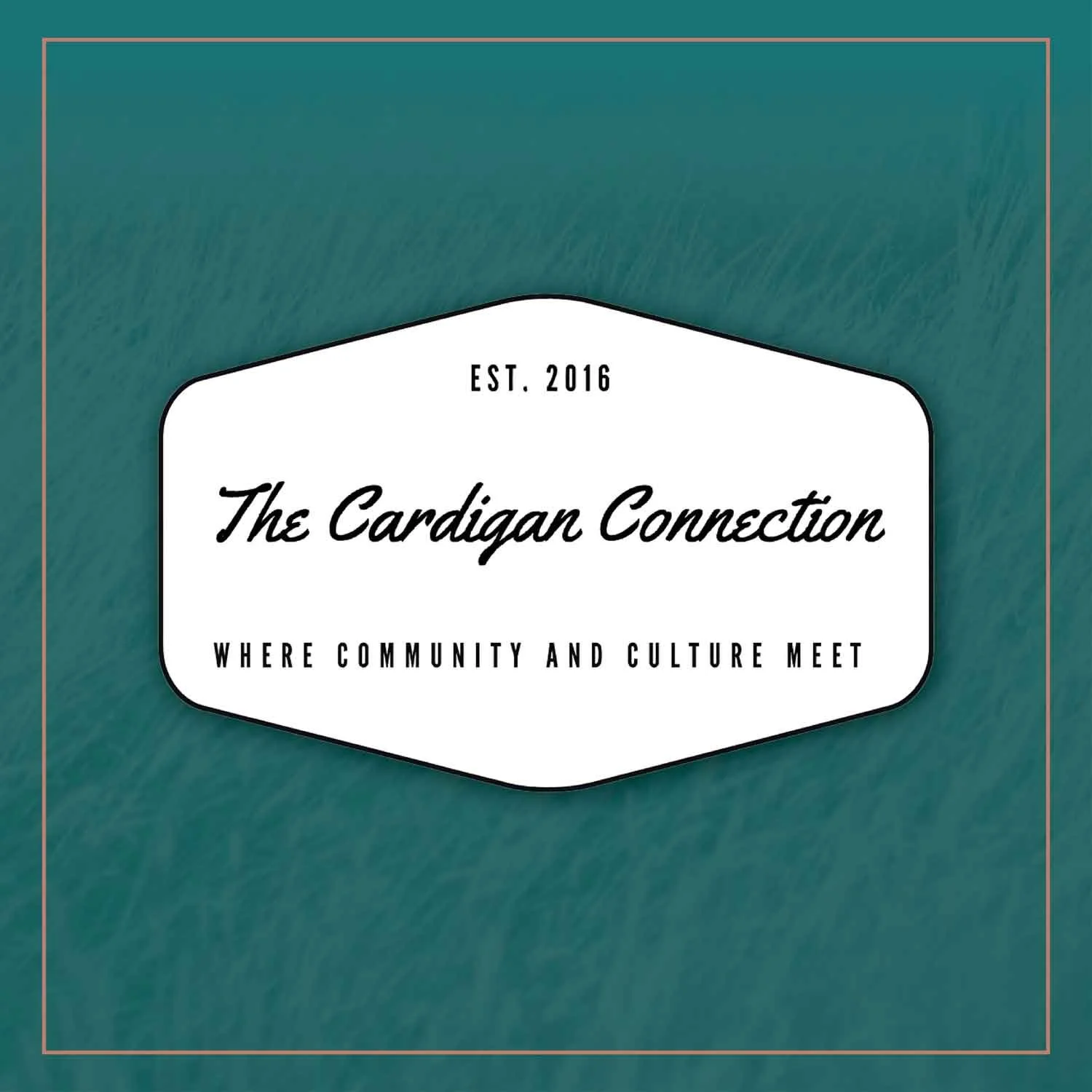 The Cardigan Connection Reading Series at Alchemy