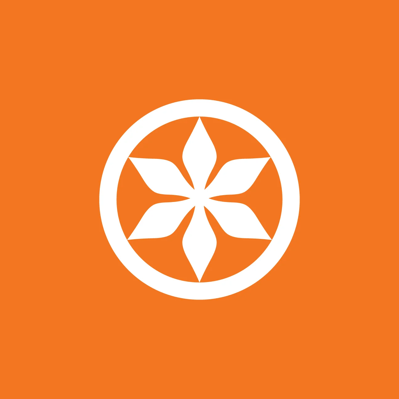 HTL-SKNDP-CLR-12.jpg