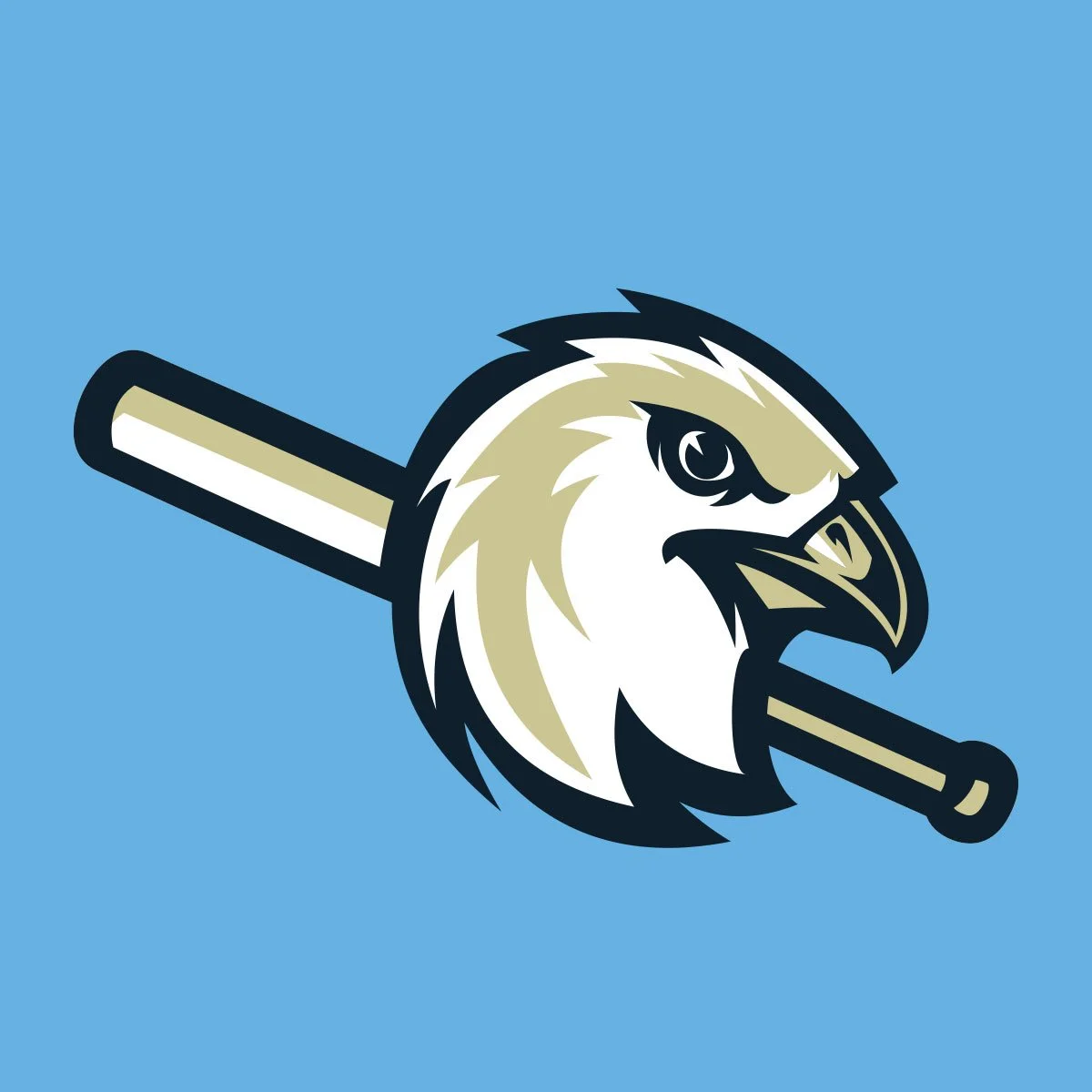 Edmonton Riverhawks alternate logo design by Edmonton graphic designer Nigel Hood