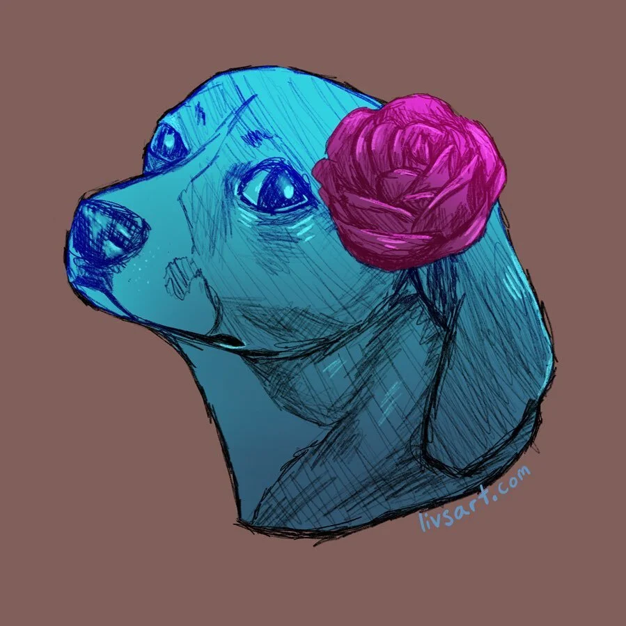 D O G #dog #sketch