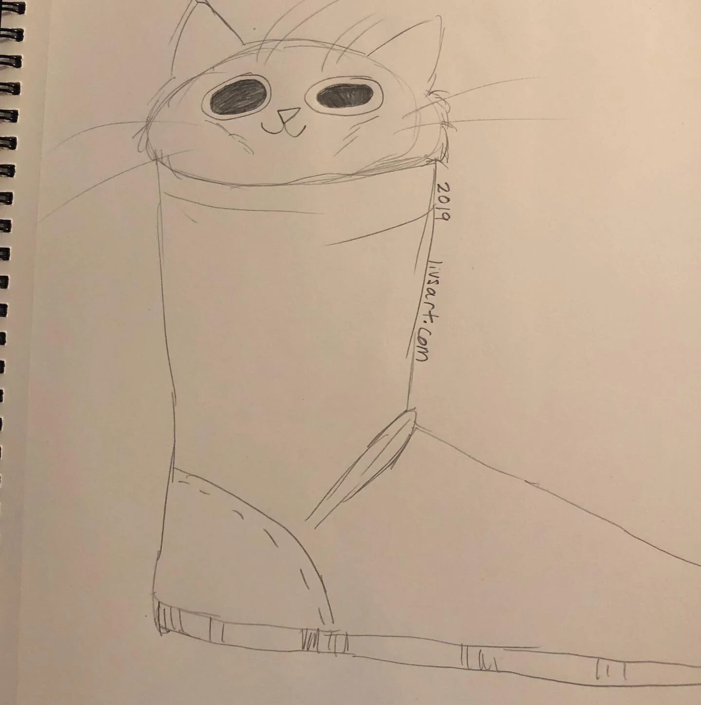 Is the cat wide or is the shoe wide? You decide #sketch