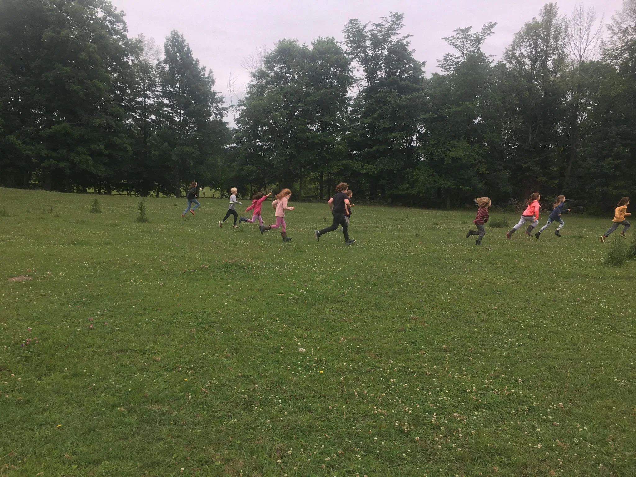 Running In Field.jpg