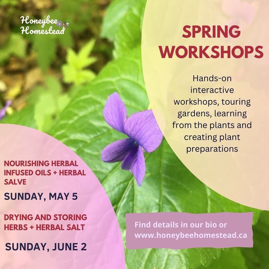 🌸 SPRING is here and the plants are beginning to awaken from their slumber and new leaf growth is starting to show.

Are you curious about the plants growing in your backyard, in the park, or on trails? 

Do you want to learn how to incorporate some