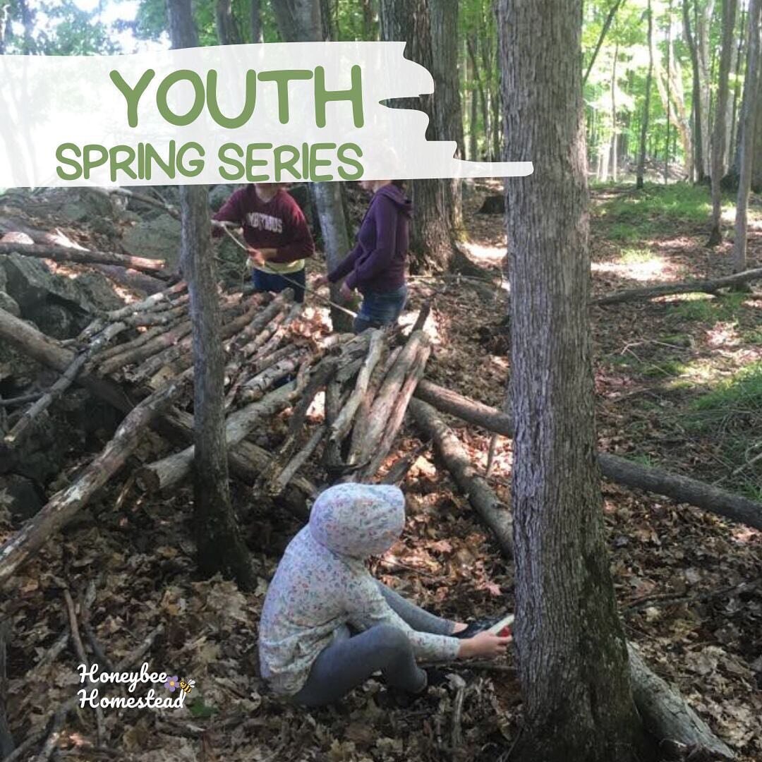 Youth have been gathering once a month to
Try new things
Build new skills
Tap into their creativity
Make new friends
Hang out outside
____

WHAT&rsquo;S PLANNED FOR APRIL?

🌳The forest will be our muse
🍃Explore some of the deeper landscapes and eco