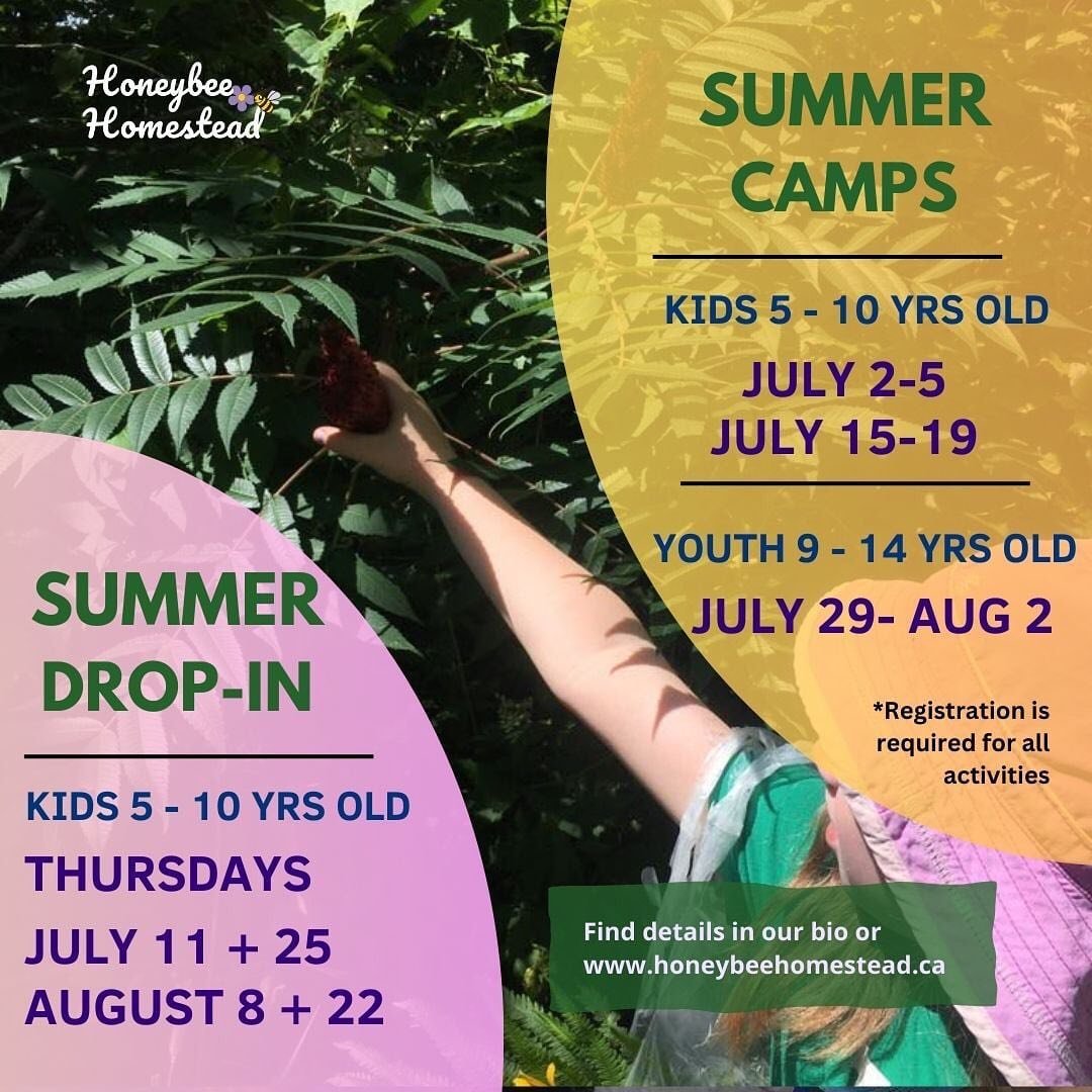 I&rsquo;m so thrilled to be launching SUMMER CAMPS for your nature enthusiasts, explorers and creatives!

It&rsquo;s for kids and youth who thrive in small groups, hands-on experiences, love the outdoors, crafting with natural materials, tickling the