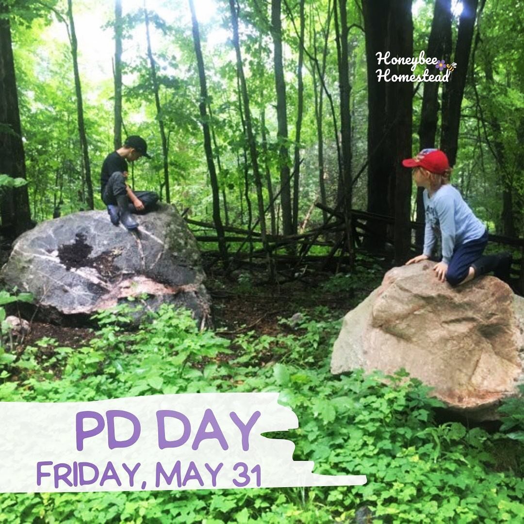 Spring is an exciting time of the year at The Homestead. 

The forest is ripe for exploration for foraging, spring ephemerals, wildlife, forest games, and the gardens are ready for planting. 

Have your kids join us for PD Day! 

Kids who are outdoor