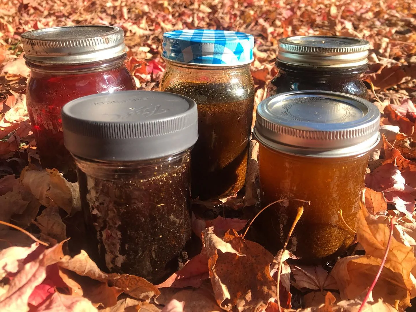 With the change in seasons, my skin has been craving more moisture. Anyone else?

How timely, since I spent September infusing herbal oils with this season&rsquo;s harvest: calendula, plantain, chamomile, and all-heal.

Preparing these beautiful herb