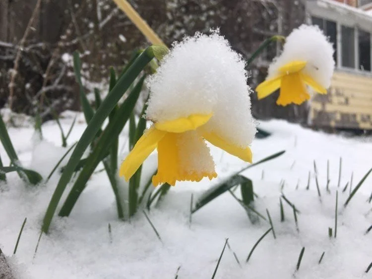 If you&rsquo;ve ever felt the pull of plants and couldn&rsquo;t explain why... 

If you crave connection that feeds more than just one part of you... 

If you long for your hands to create the life you&rsquo;re imagining...

There&rsquo;s a place her