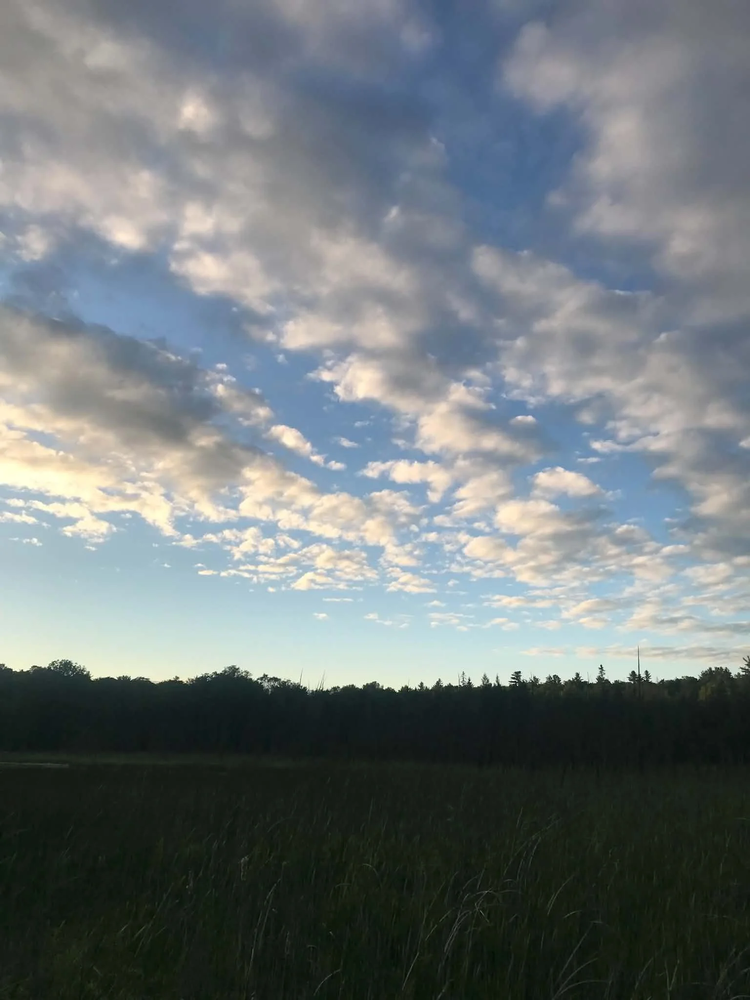 Open Sky June 26..jpg