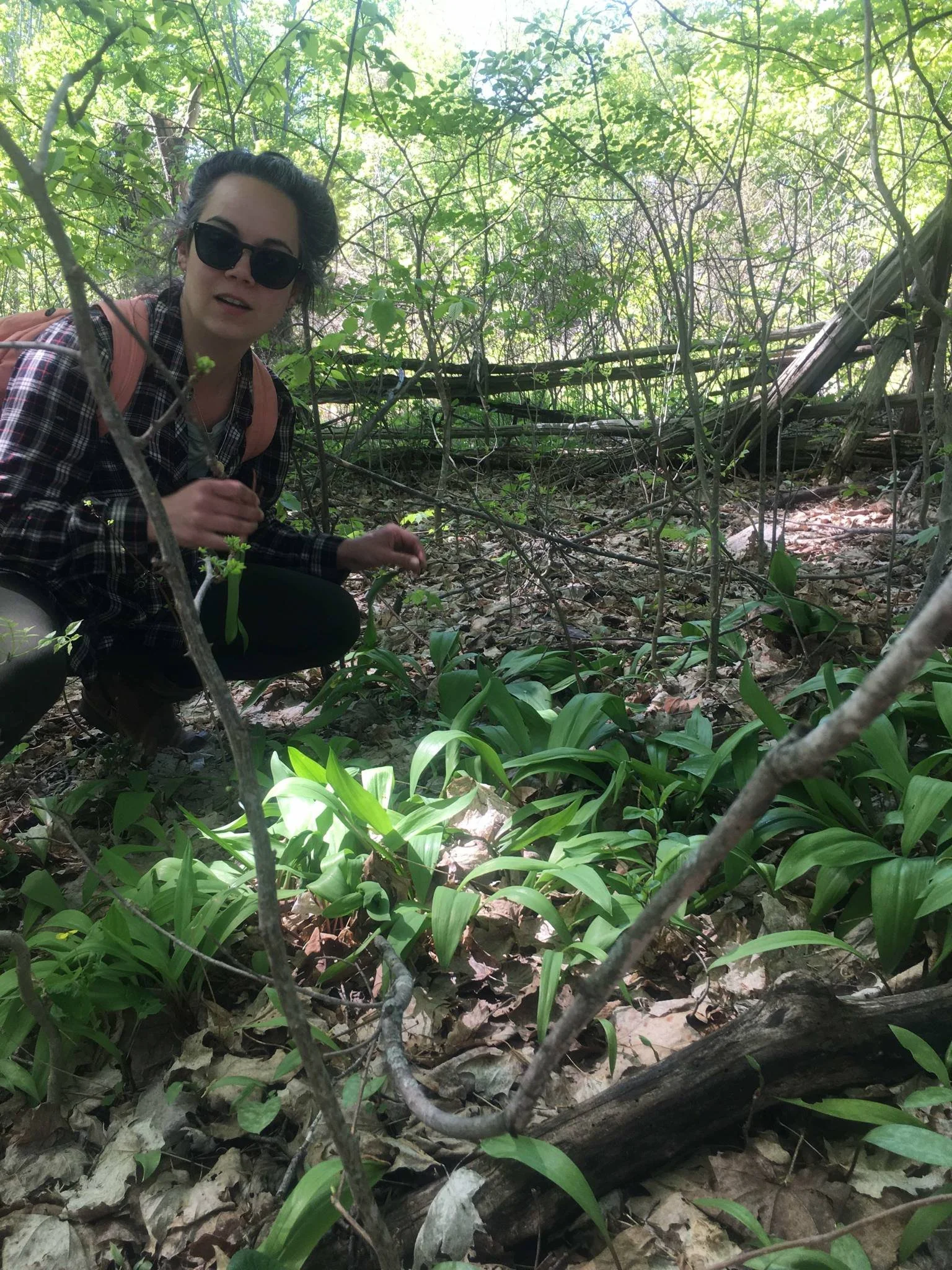 Tasha with wild leeks.jpg