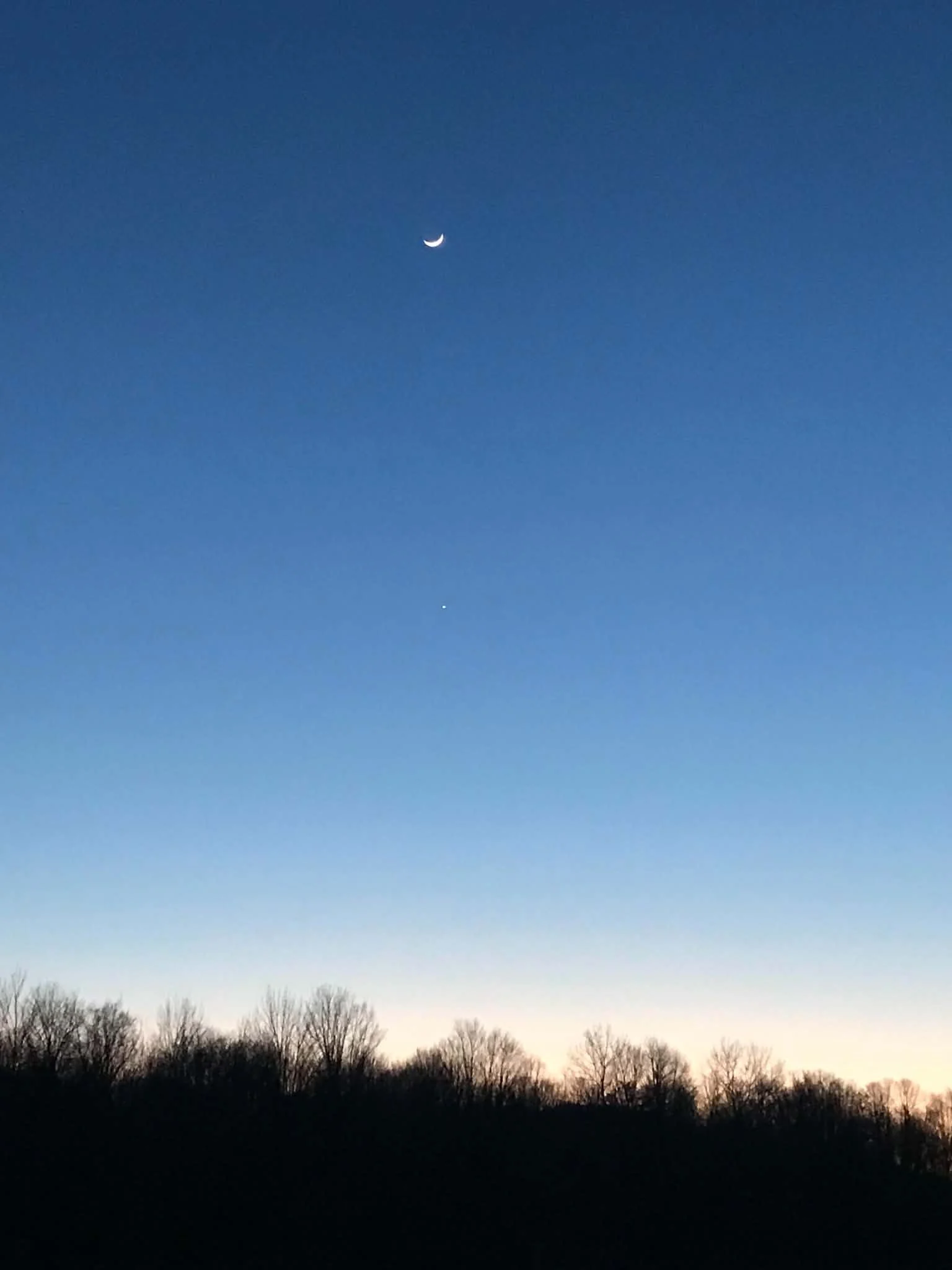 Night Sky w Cresent Moon .jpg