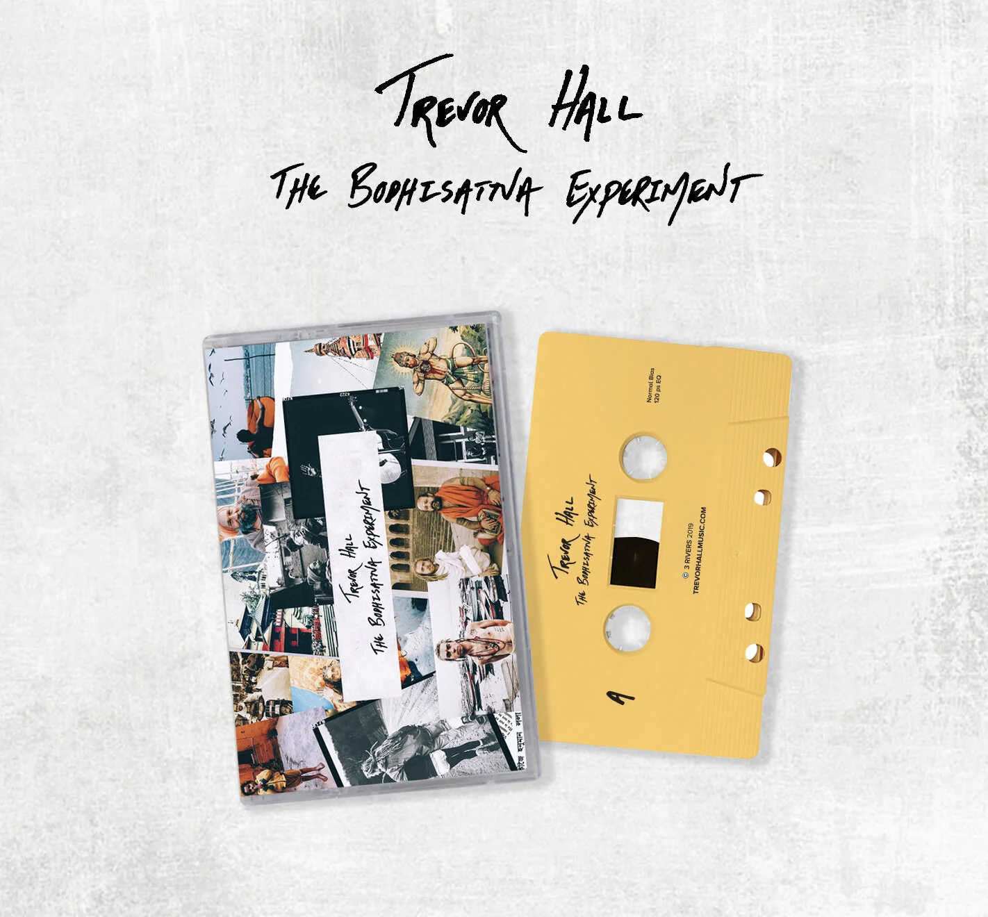 The Bodhisattva Experiment Cassette
