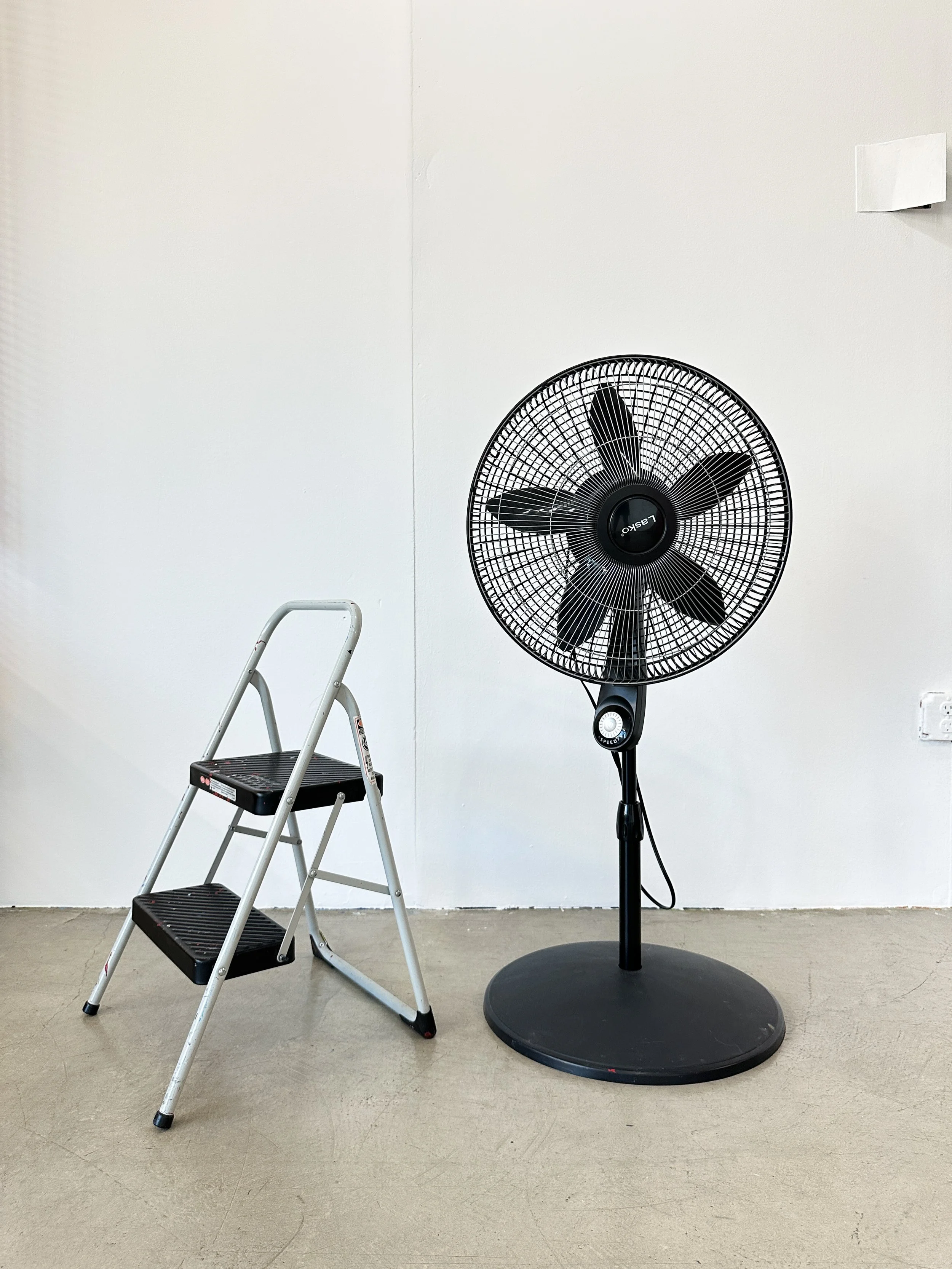 YLW-PROPS-14.JPG