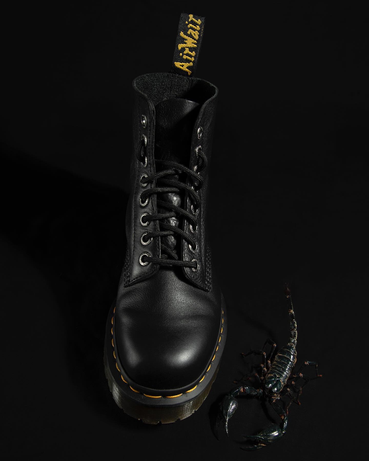 @drmartensofficial 
Scorpion from @thebutterflycompany