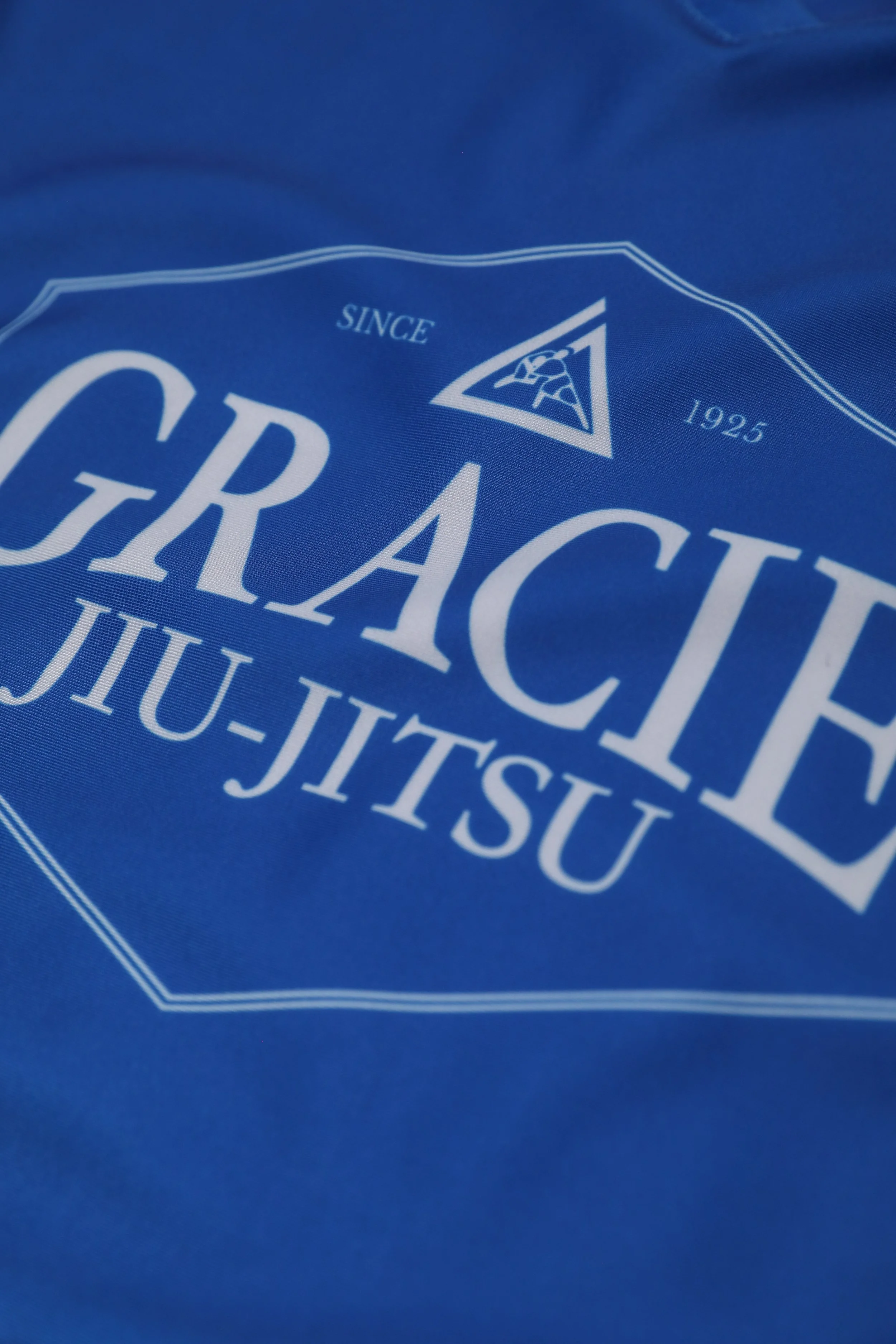 w rashguard front detail.jpg