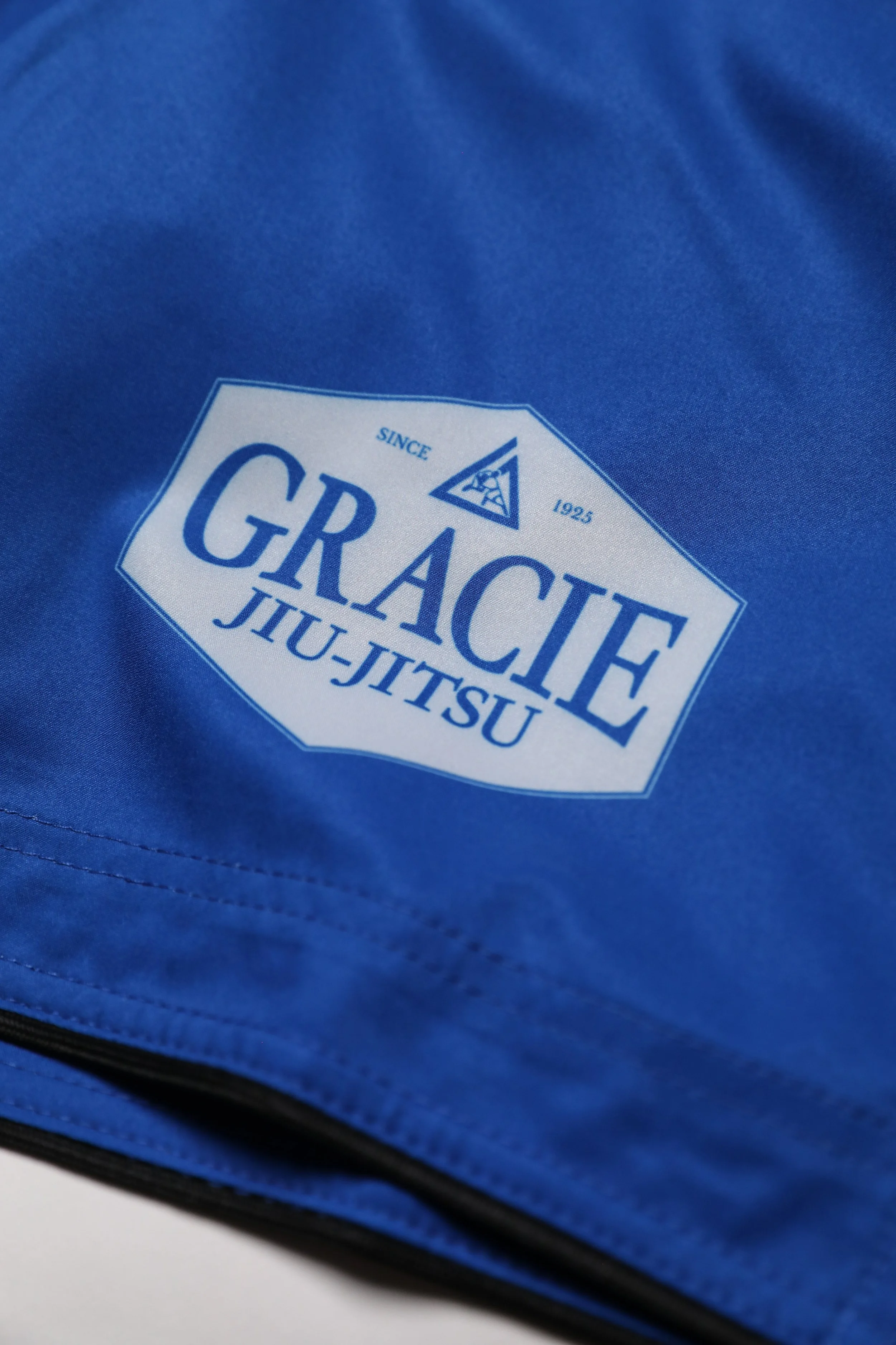 w shorts front detail.jpg