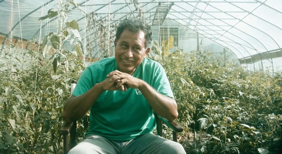 The Healing Soil