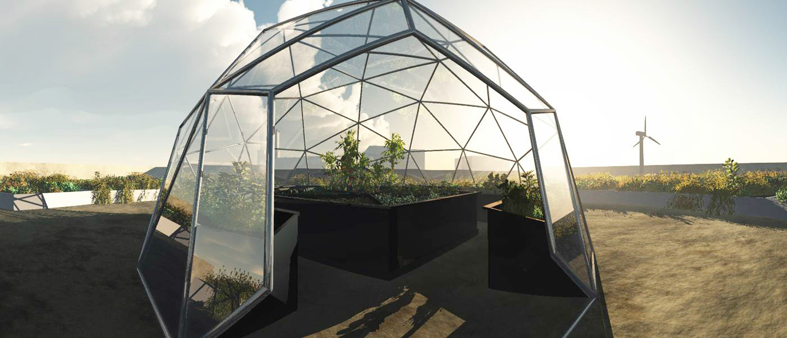 A1_Brooklyn Grange D.jpg