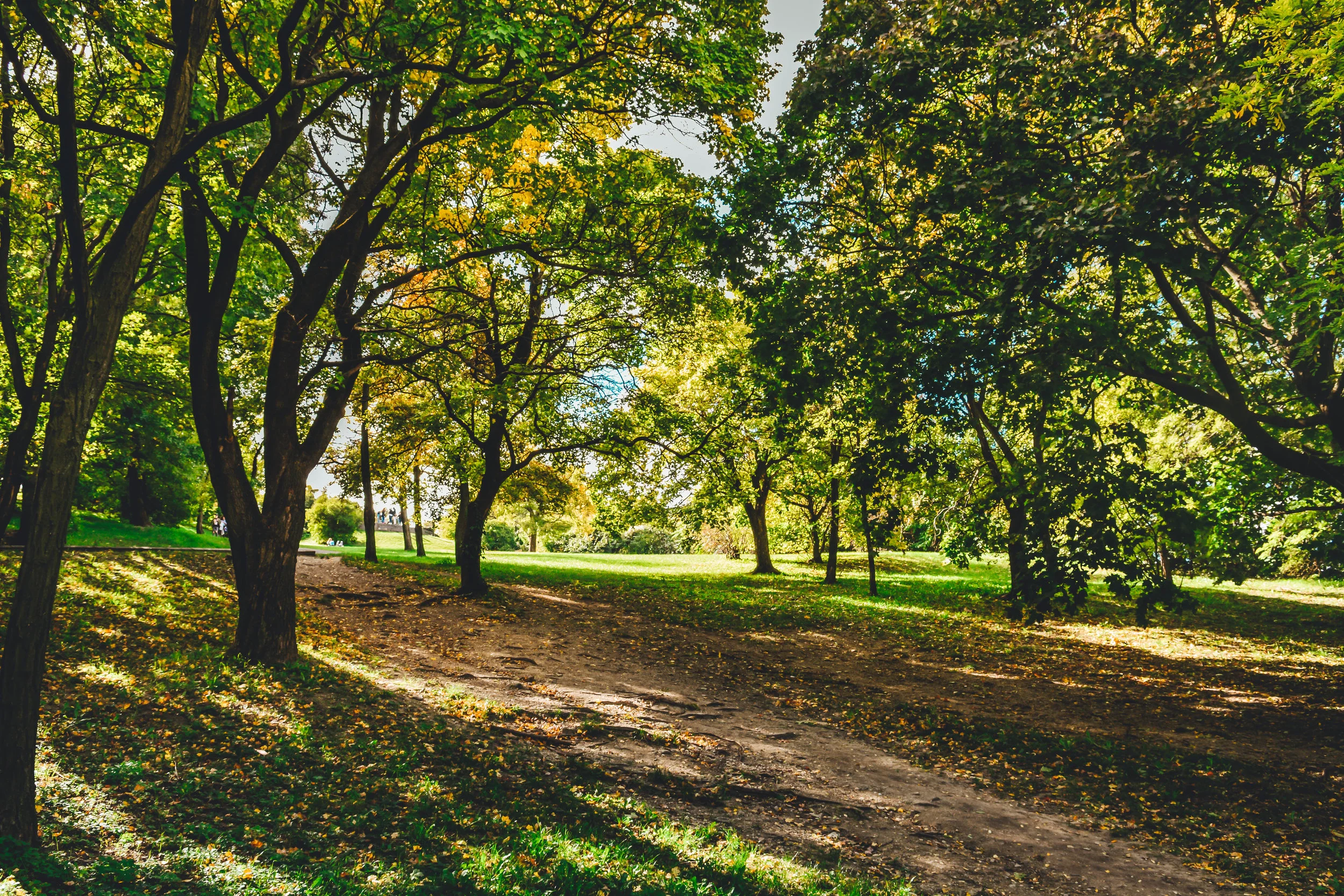 Speed Dating in the Park