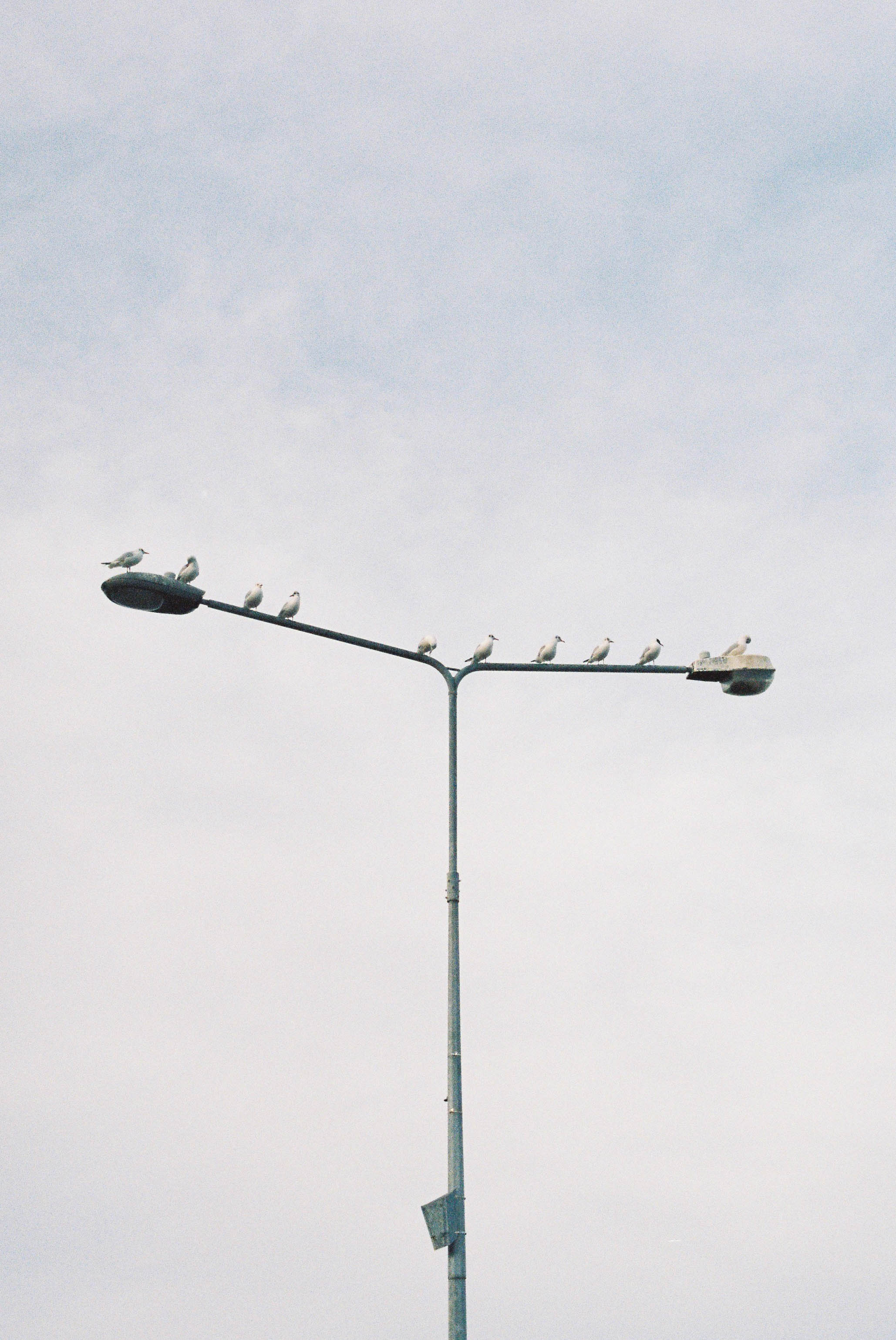 untitled-1.jpg