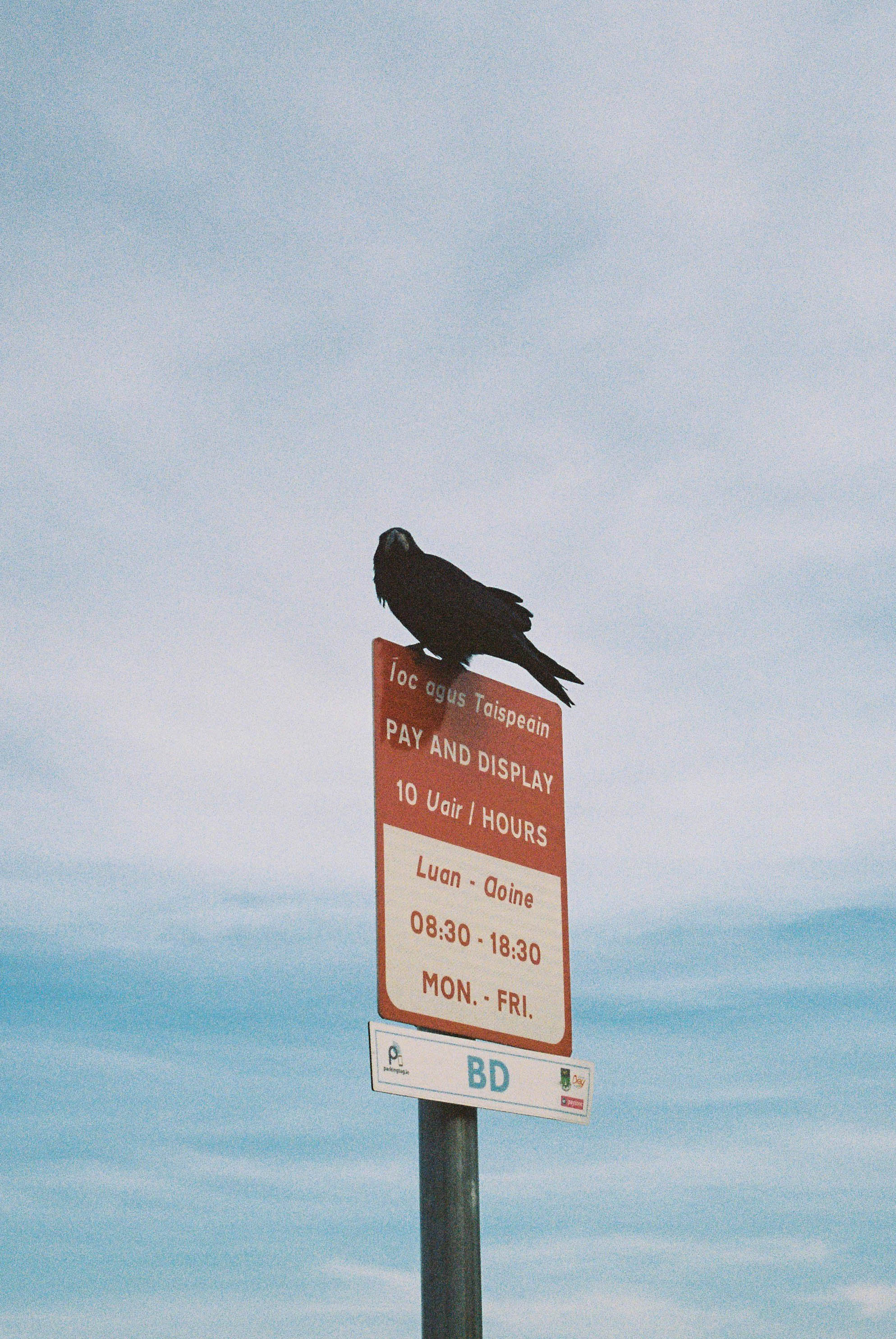 untitled-2.jpg