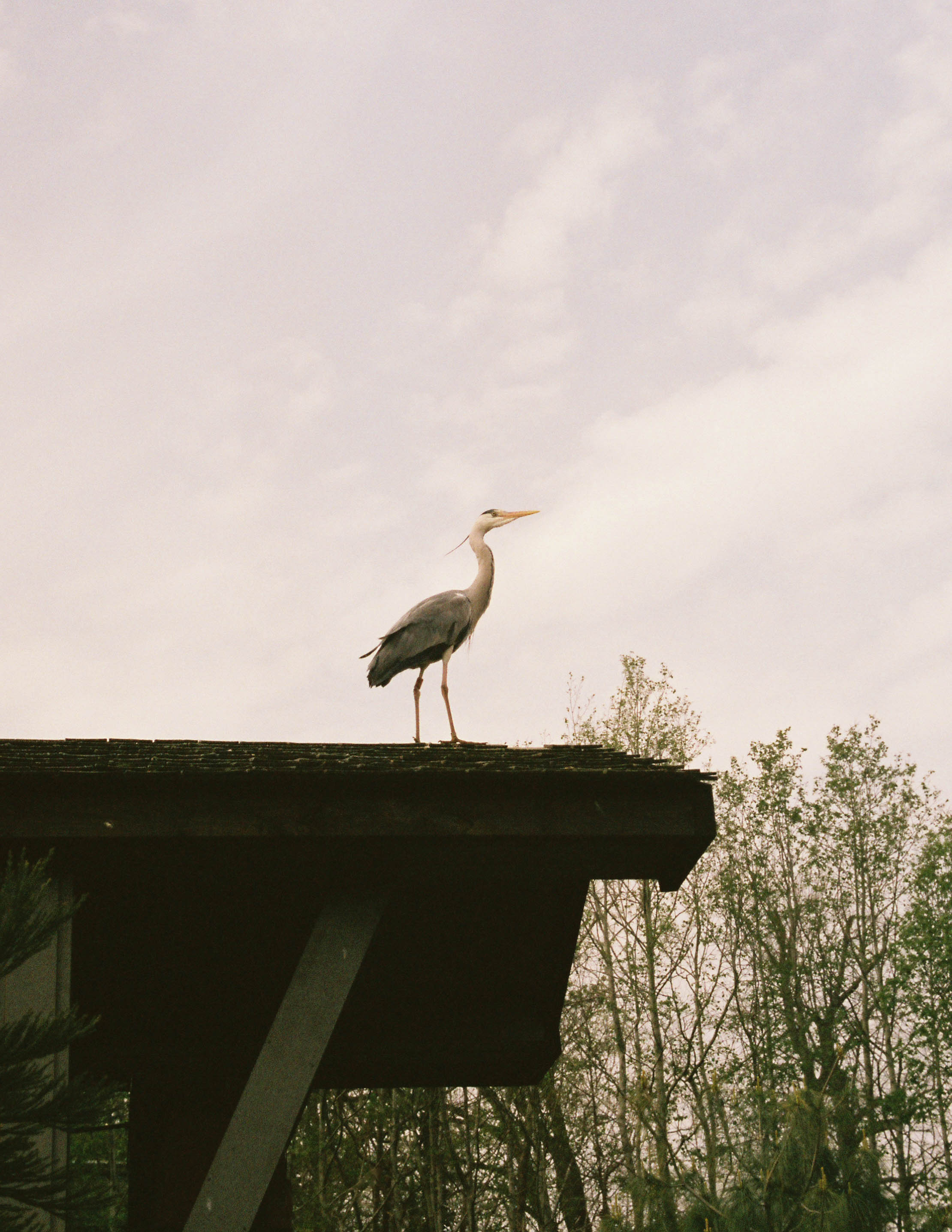 untitled-5-2.jpg