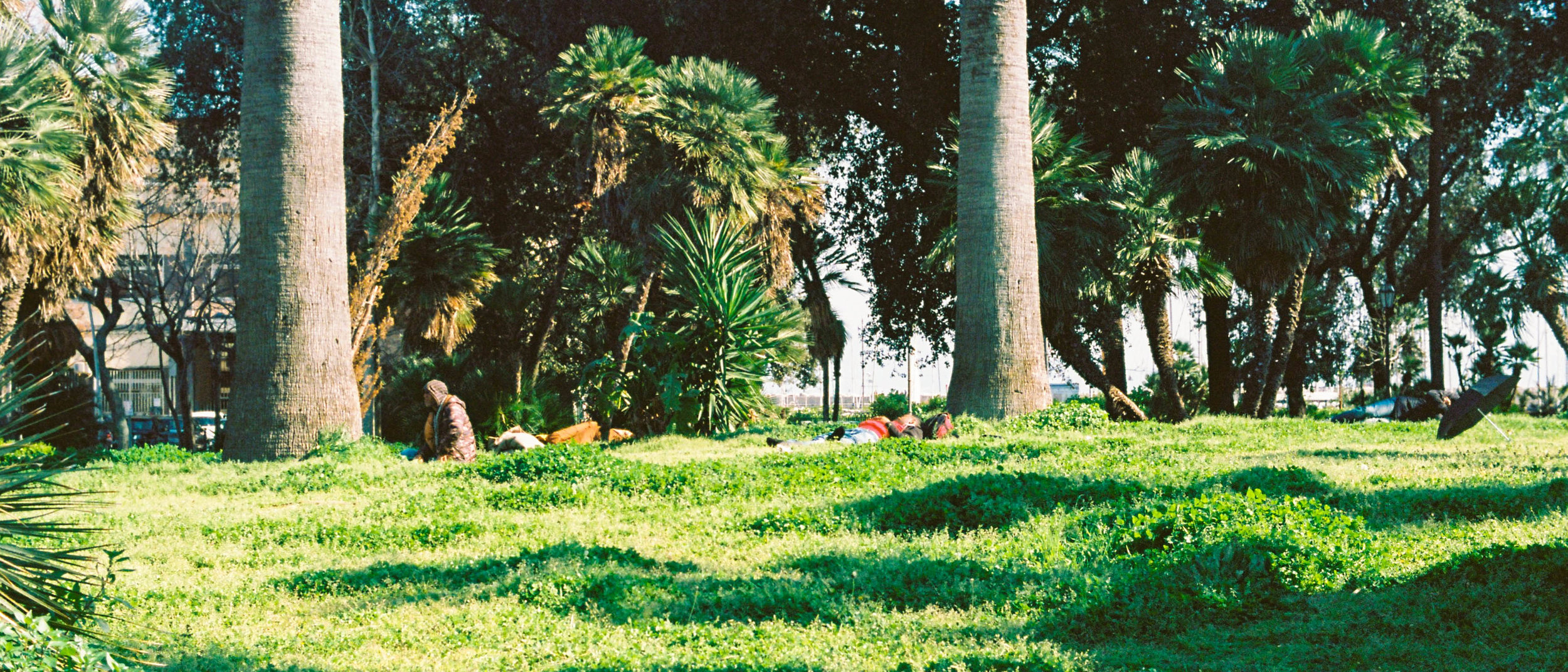 untitled-7.jpg