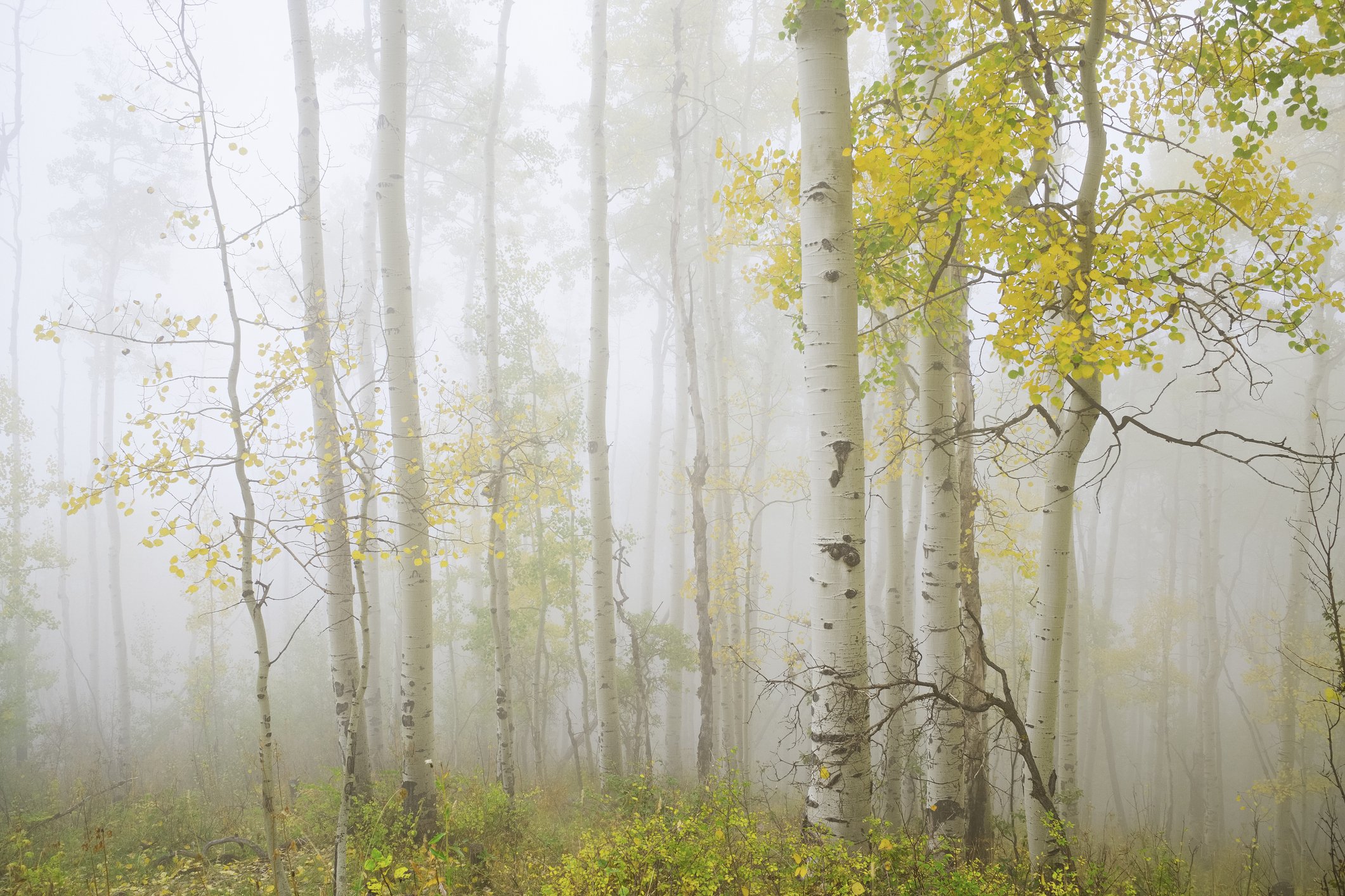 GettyImages-165615718.jpg