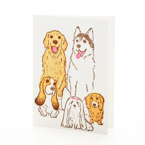 4B-150 dogs.jpg