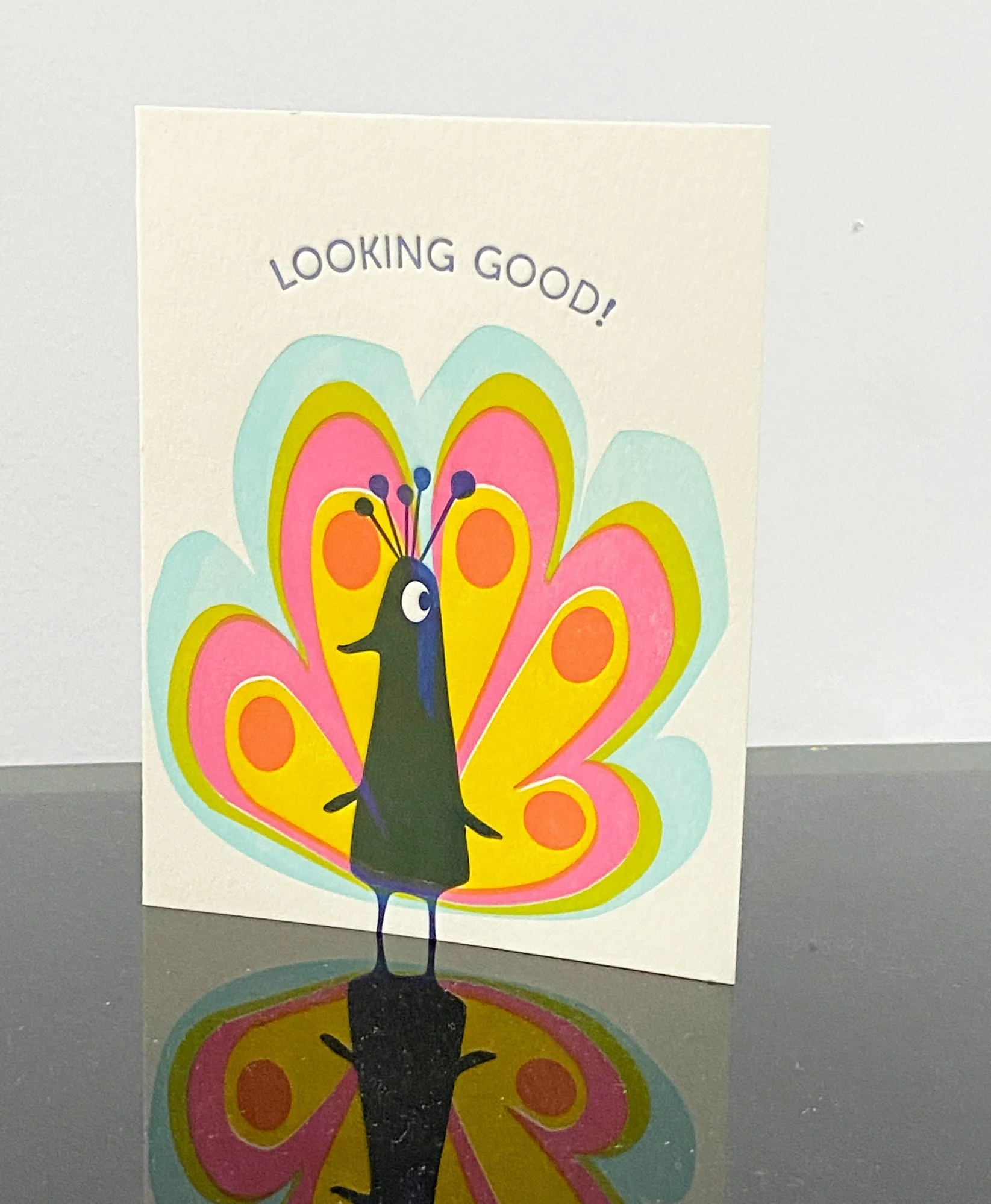 https://i.etsystatic.com/5139332/r/il/60d110/2164731068/il_fullxfull.2164731068_t3te.jpg