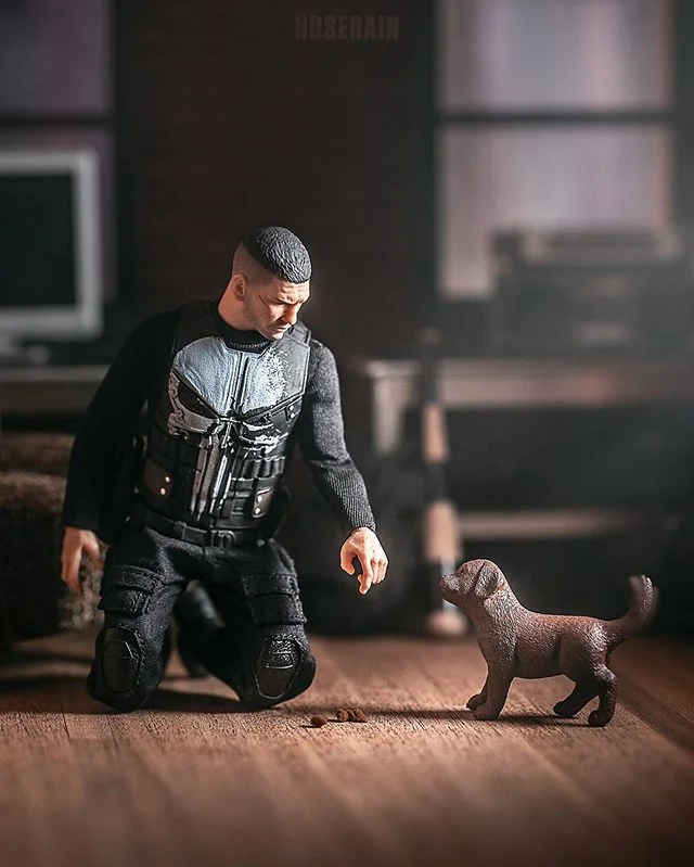 &lt;&lt;Swipe&lt;&lt;..You gon&rsquo; learn today 🐶
.
📸: @noserain
Follow for more toy photography!
.
@jonnybernthal @mezcotoyz
#toyphotography #thepunisher #jonbernthal #toyphotographer  #hottoys #mezcotoyz #hottoyscollectibles #toypics #toys4life