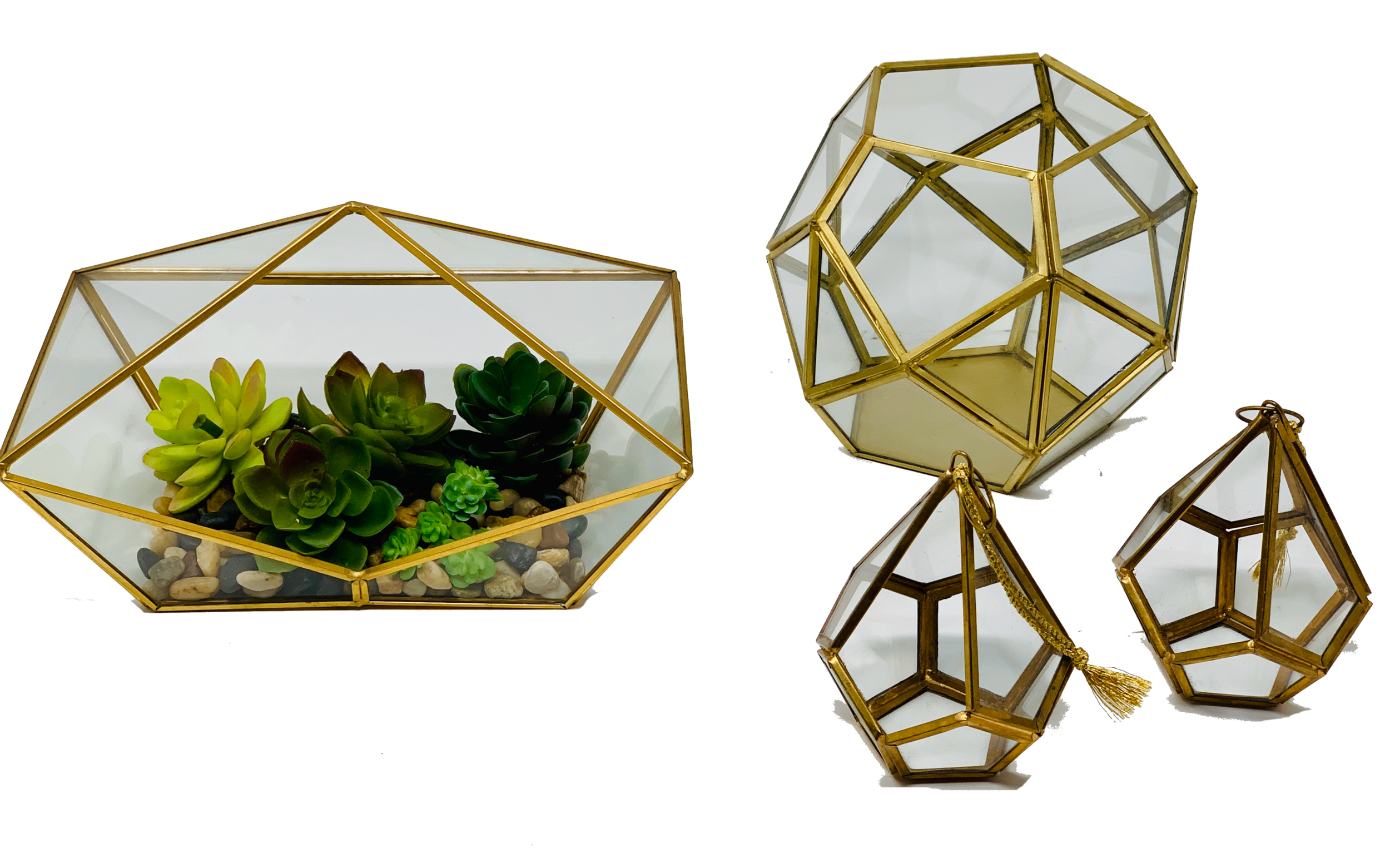 19F54259-A44A-453C-8F79-0849B274E1A6