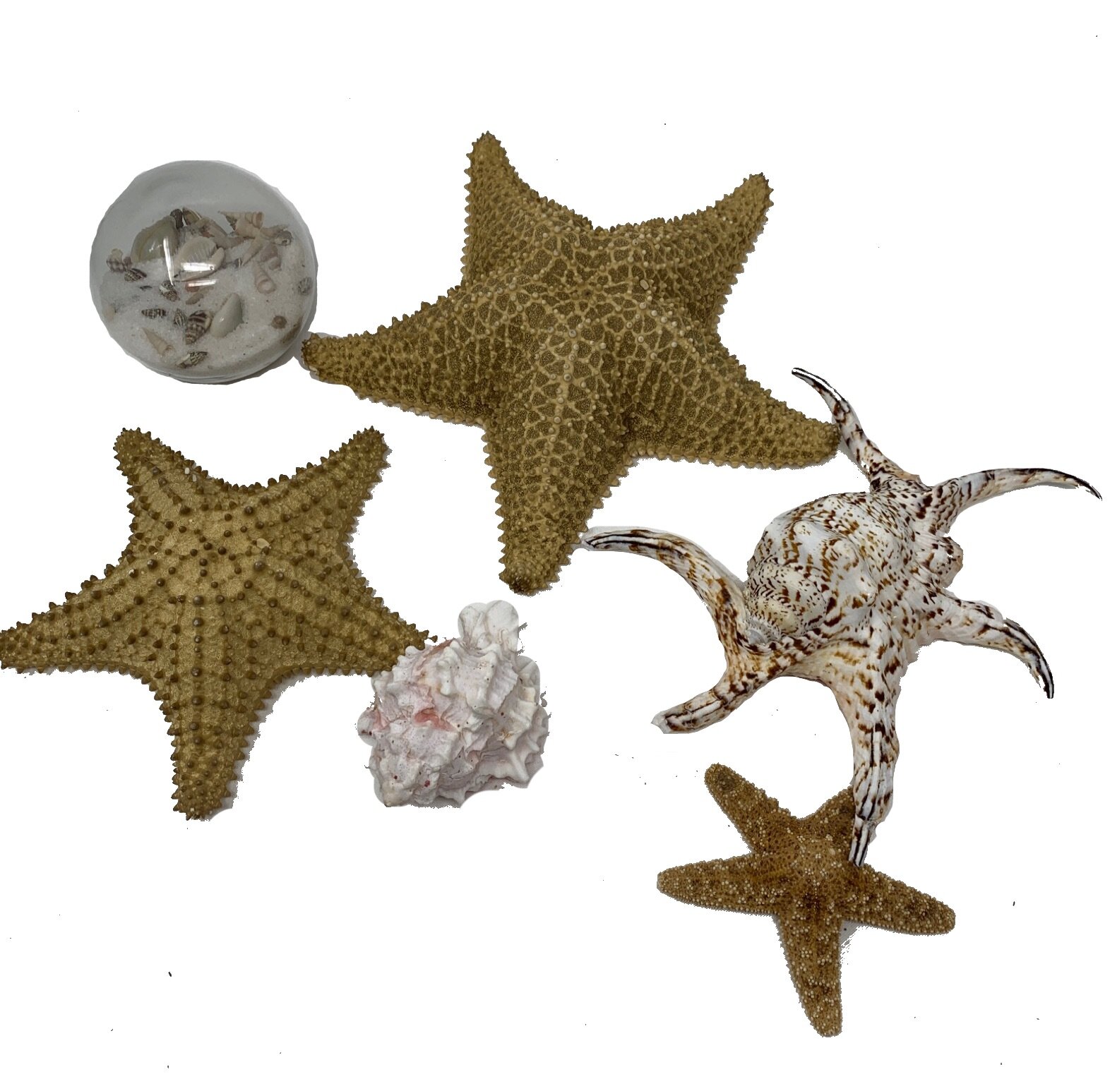 A0033798-B8B4-4CD9-B553-5497B572981A