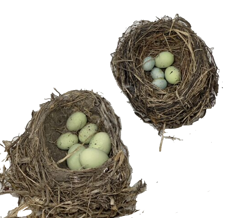 2C0D776D-CFBF-490C-81FA-665D9D0ABB7C