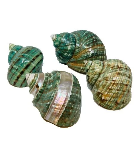 B83B6EB0-07EC-435D-B24E-C57313991B97