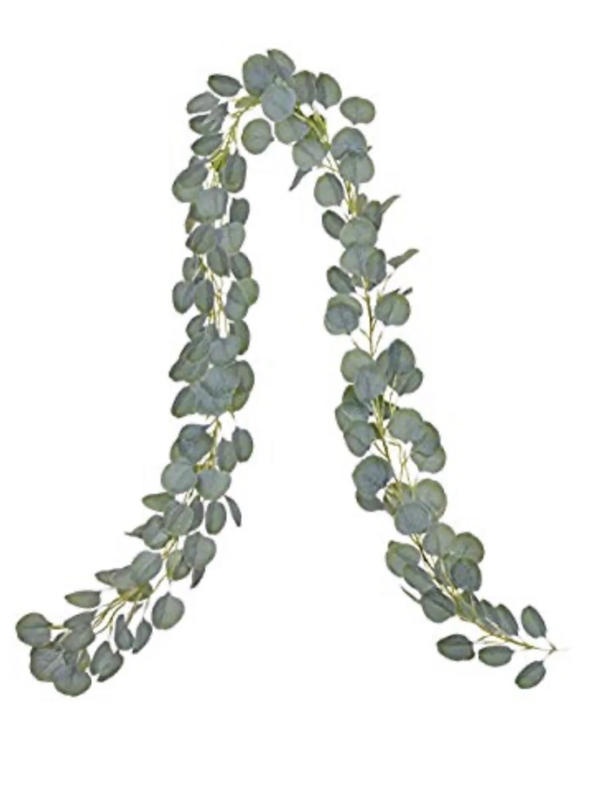 6A2A119E-95CE-477E-887F-3532A5F12FA4