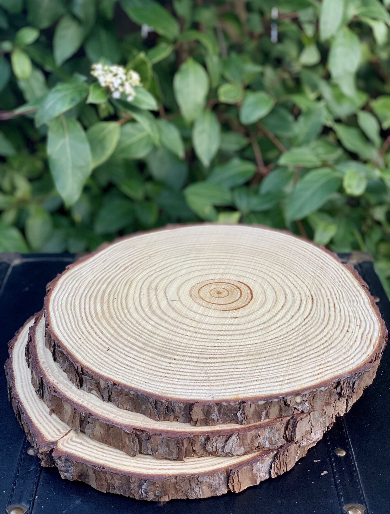 FC6F4626-8B2E-494B-918A-42C534E08213