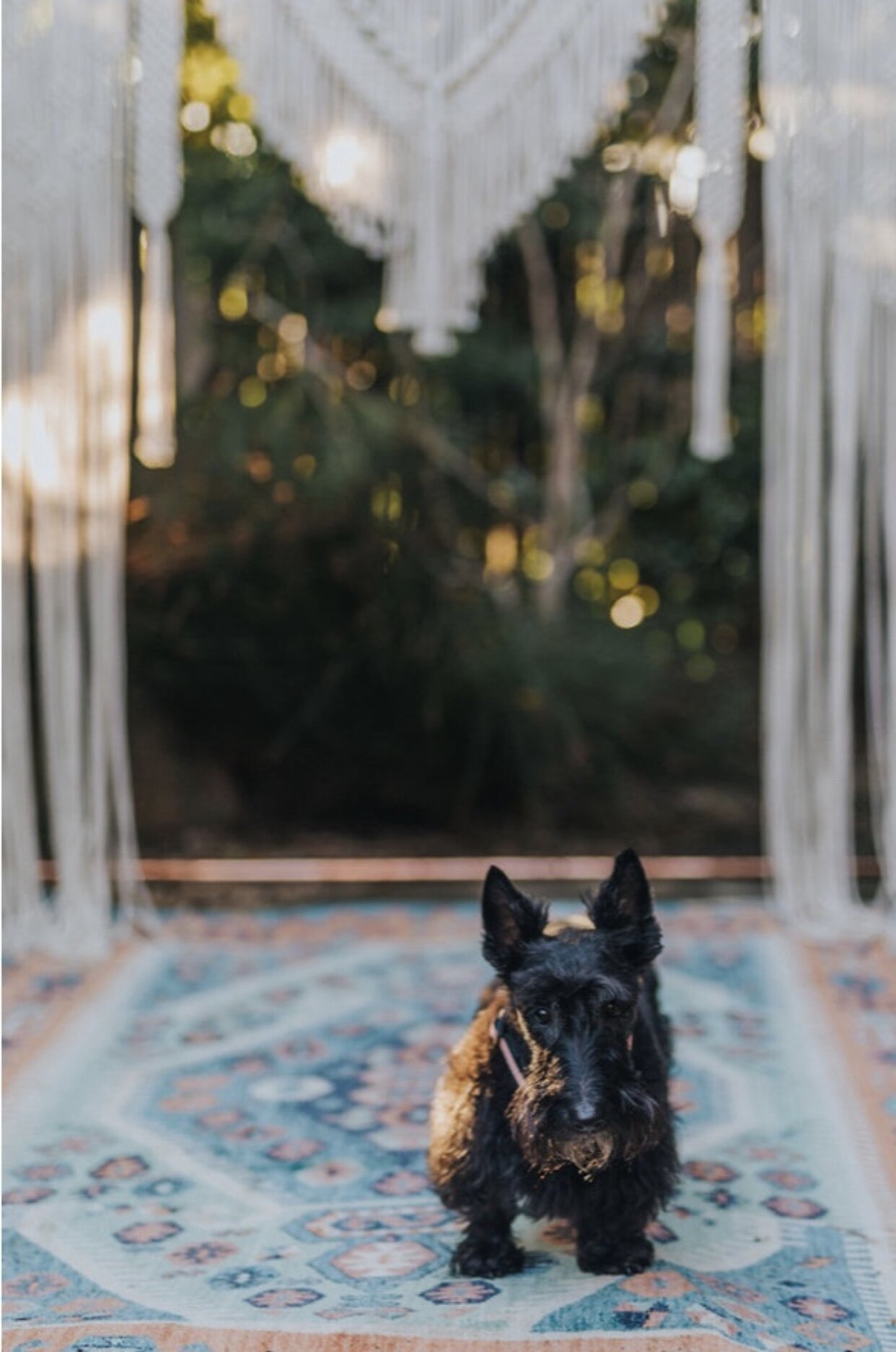 33AA968D-D1C9-475F-A83D-624F95CD9ADD