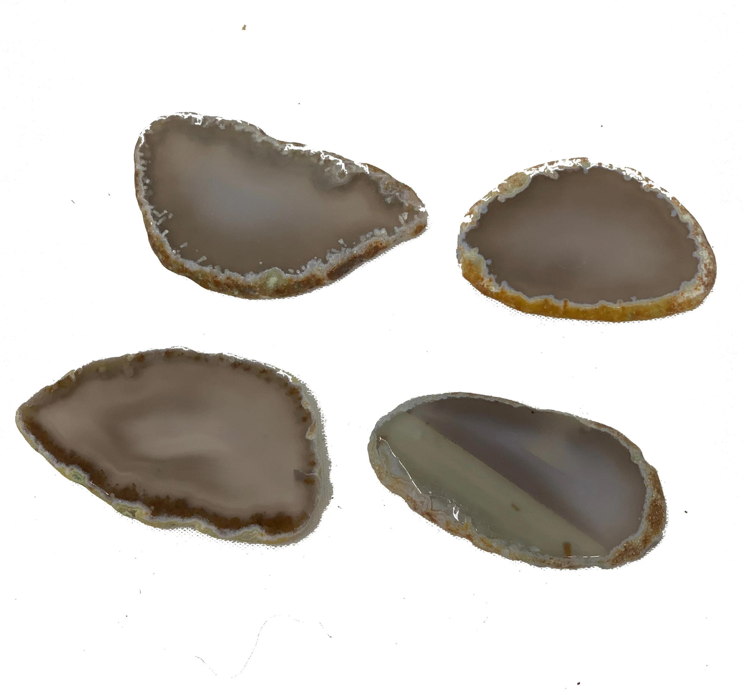 42CC1840-825E-42B0-B4B2-73882BD5C762